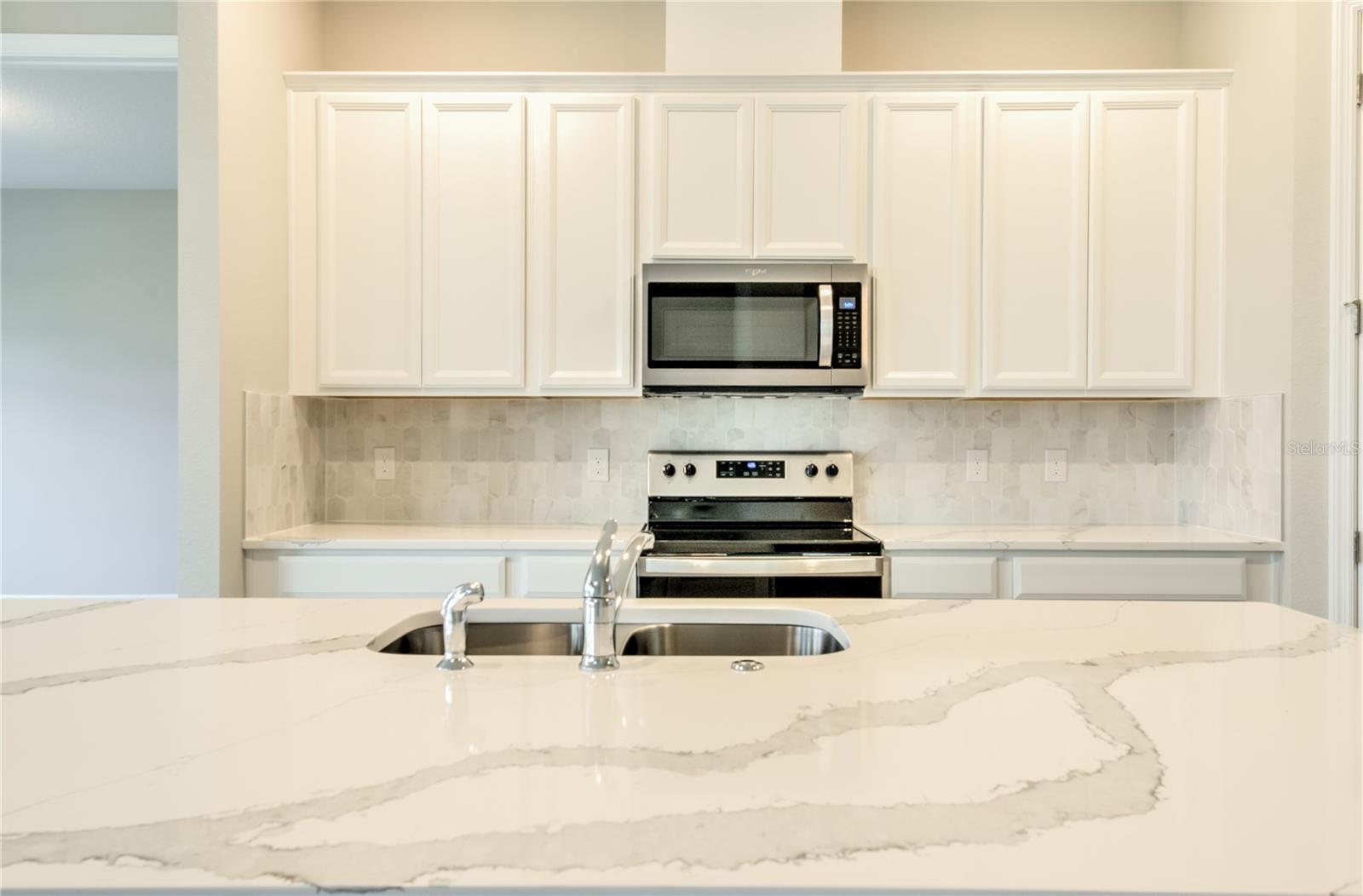 16271 SILVER GROVE BLVD, WINTER GARDEN, FL, 34787