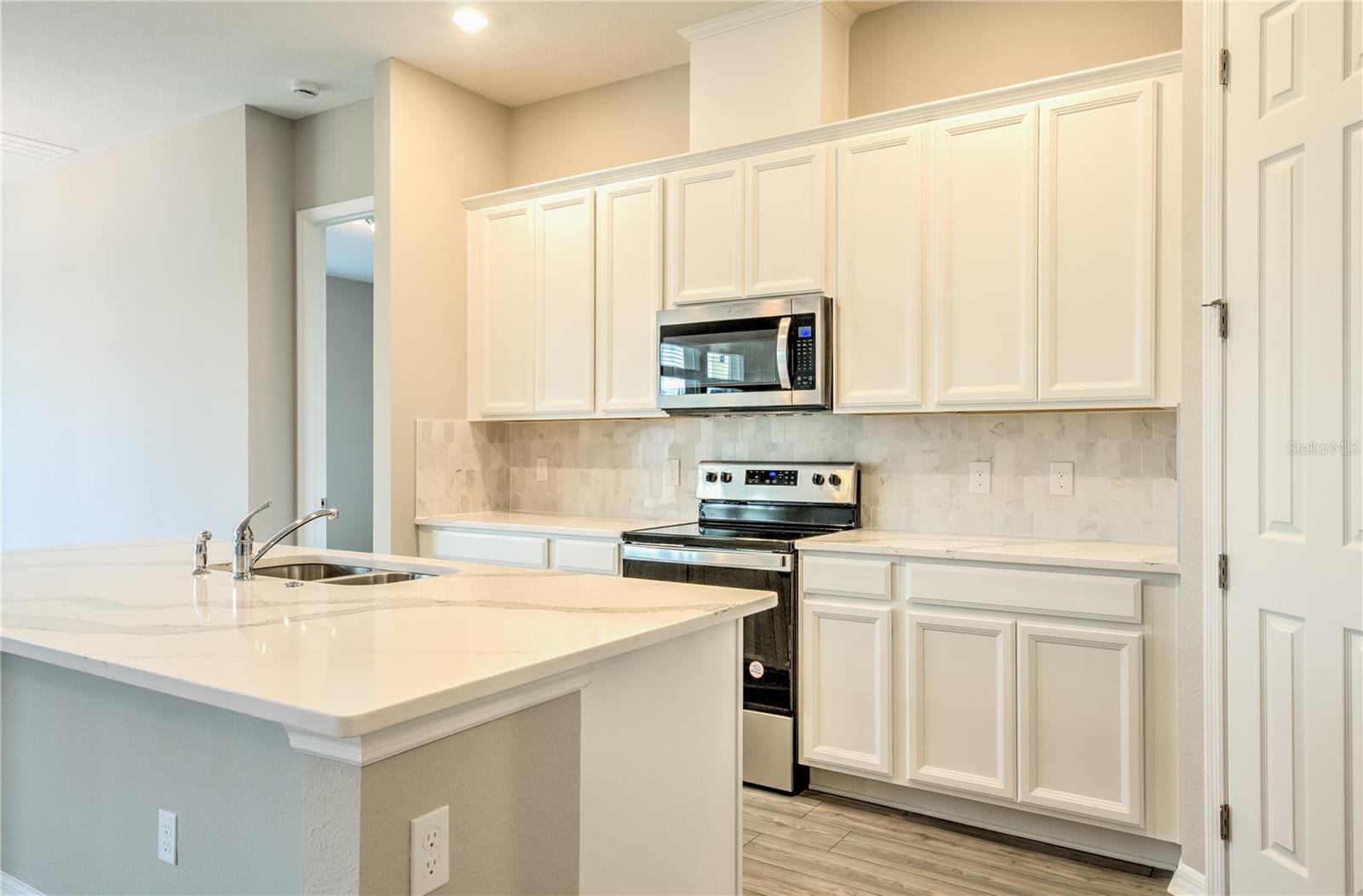 16271 SILVER GROVE BLVD, WINTER GARDEN, FL, 34787