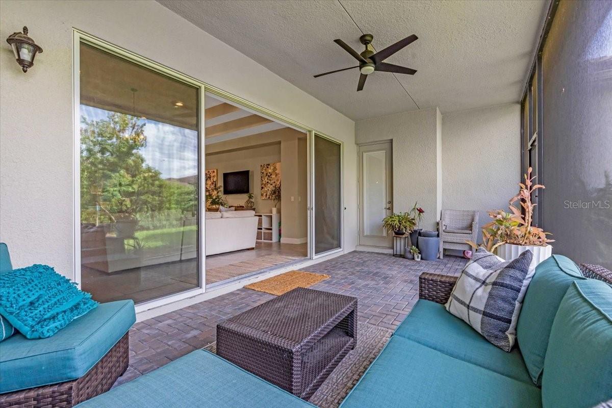 2165 HOLLOW FOREST CT, WESLEY CHAPEL, FL, 33543