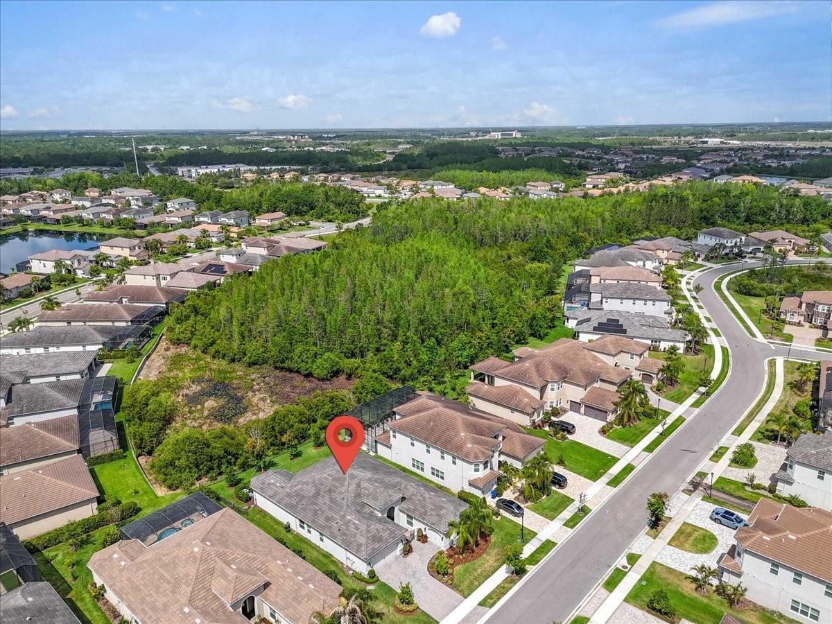 2165 HOLLOW FOREST CT, WESLEY CHAPEL, FL, 33543