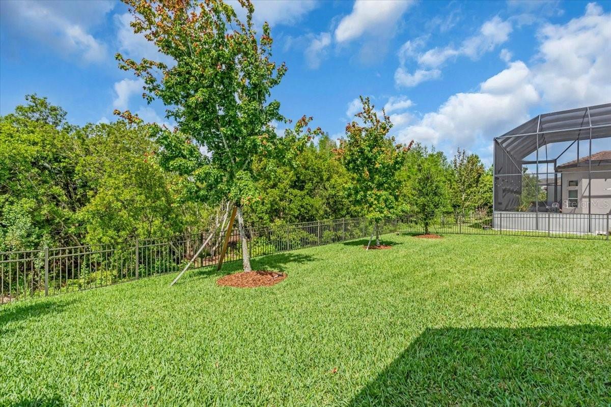 2165 HOLLOW FOREST CT, WESLEY CHAPEL, FL, 33543