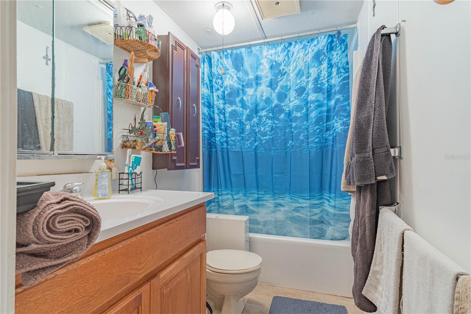 1674 CR 434, LAKE PANASOFFKEE, FL, 33538