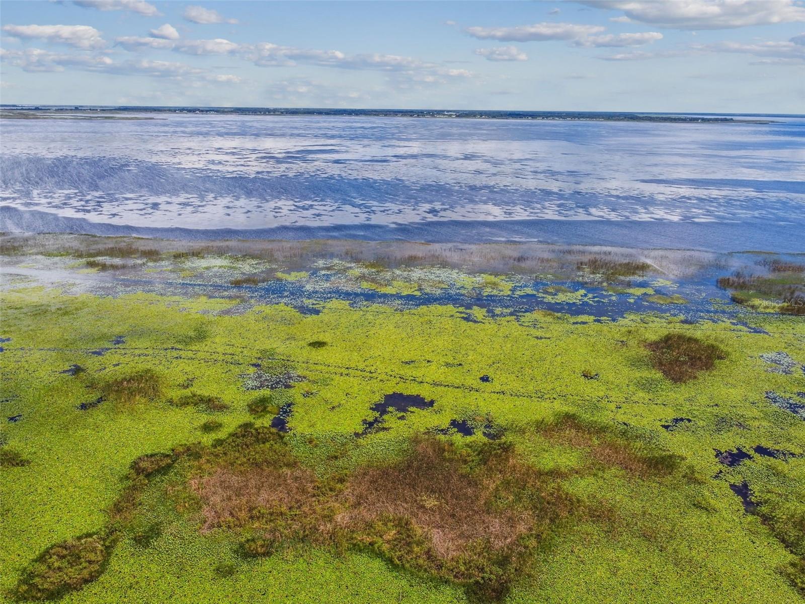 3031 HARBOR VIEW LN, KISSIMMEE, FL, 34746