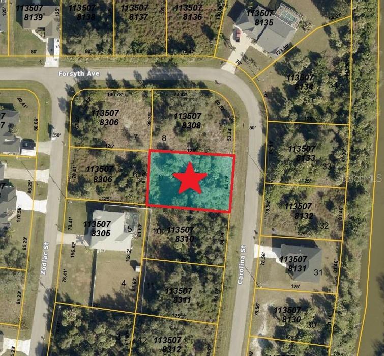 Lot 9 CAROLINA ST, NORTH PORT, FL, 34288