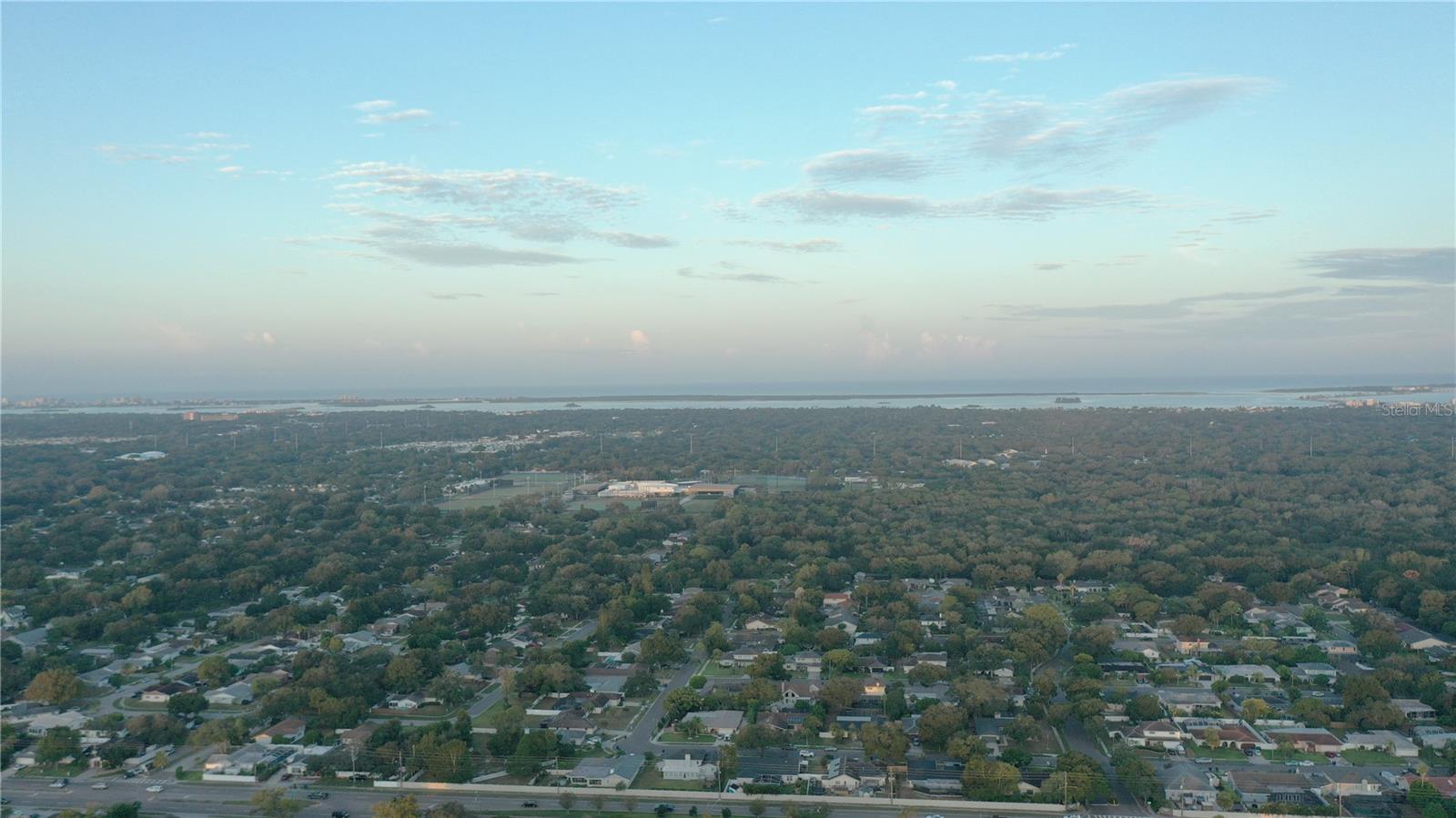 3139 CARLOS DR, DUNEDIN, FL, 34698