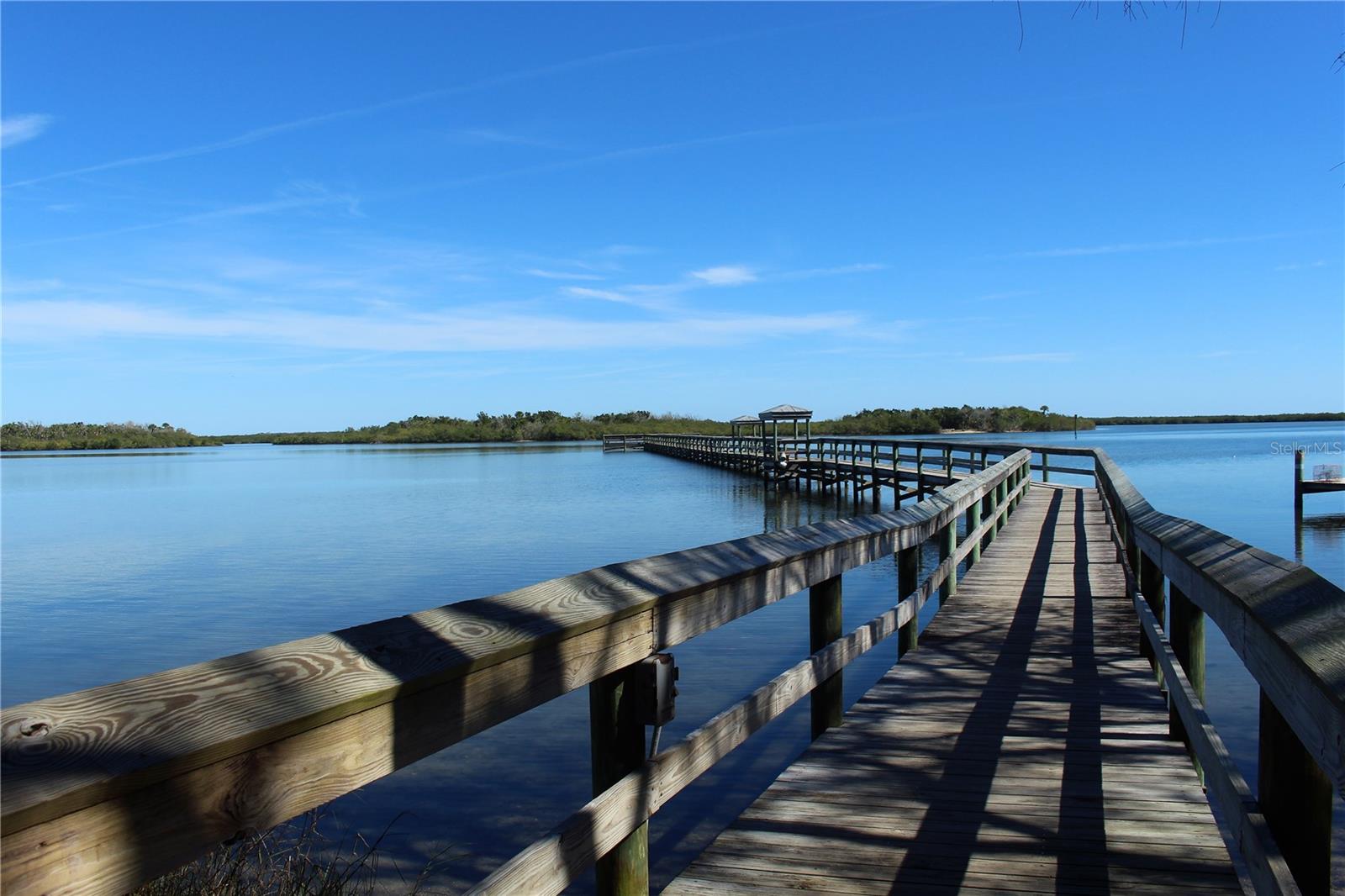 436 ELDORA DR, OAK HILL, FL, 32759