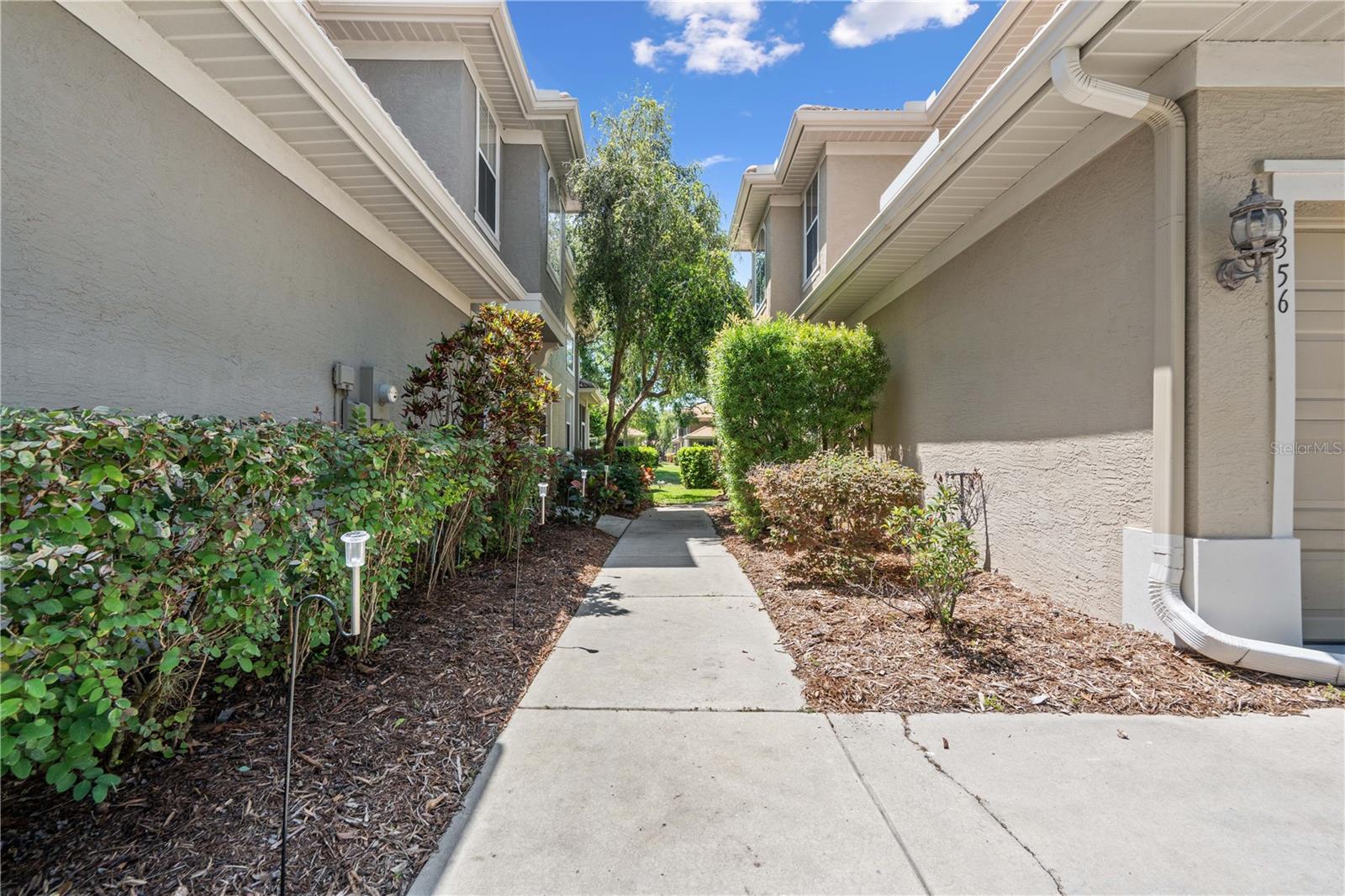 3352 COVERED BRIDGE DR E, DUNEDIN, FL, 34698