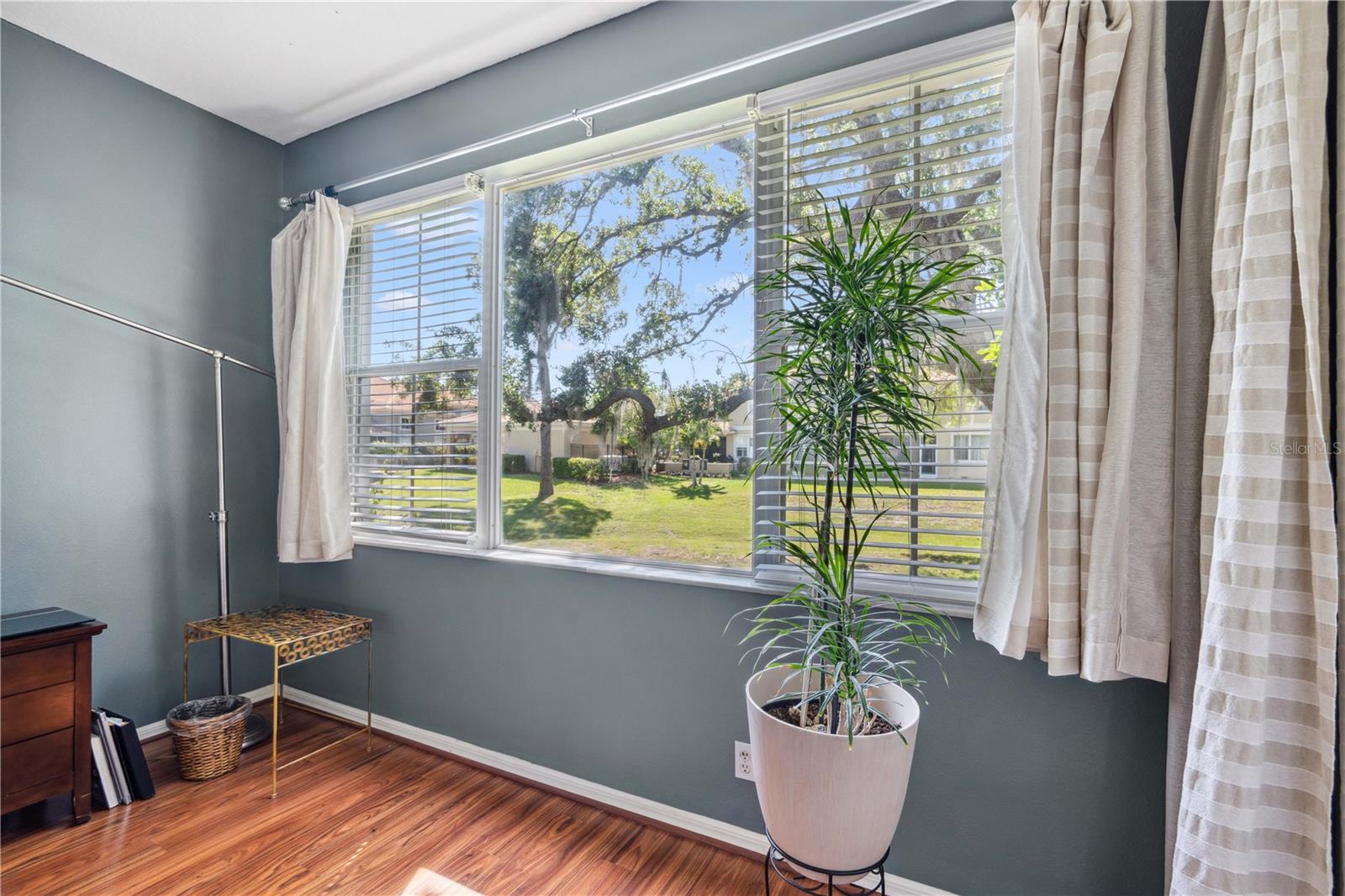 3352 COVERED BRIDGE DR E, DUNEDIN, FL, 34698