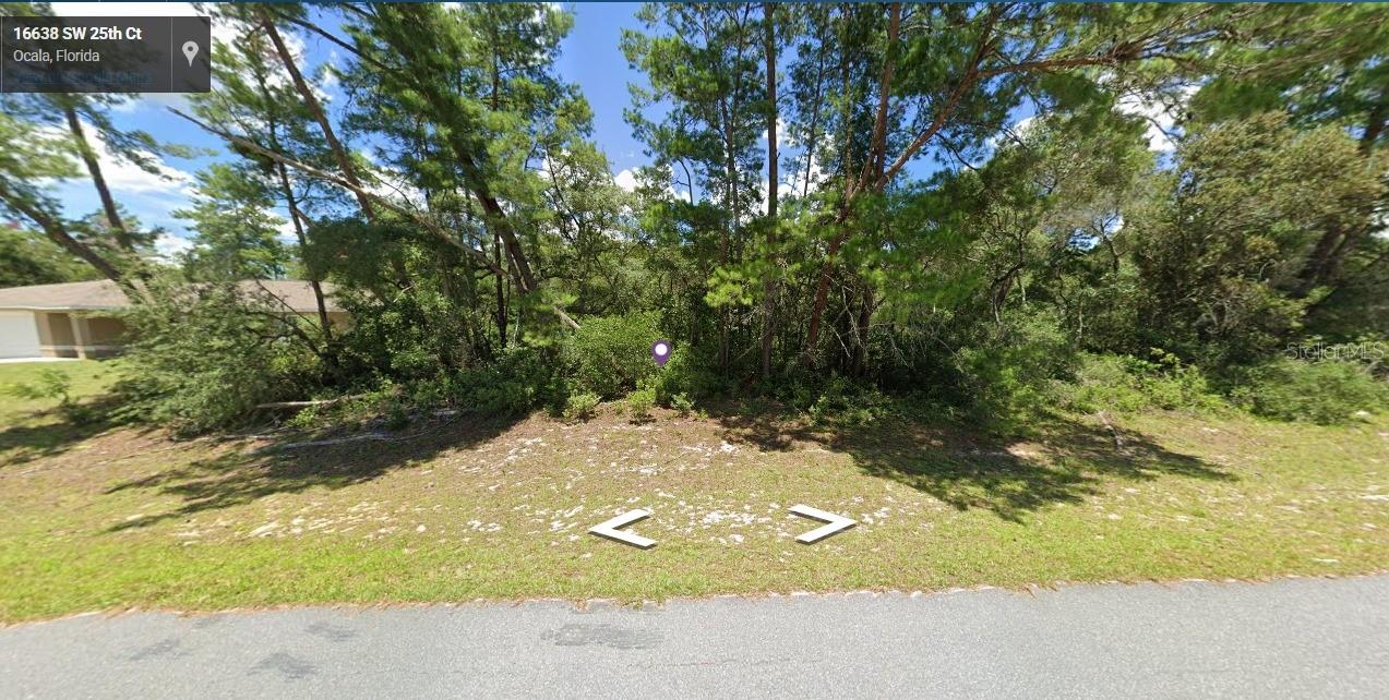 SW 163RD PL, OCALA, FL, 34473