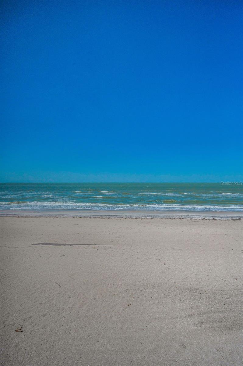 1660 GULF BLVD #203, CLEARWATER BEACH, FL, 33767