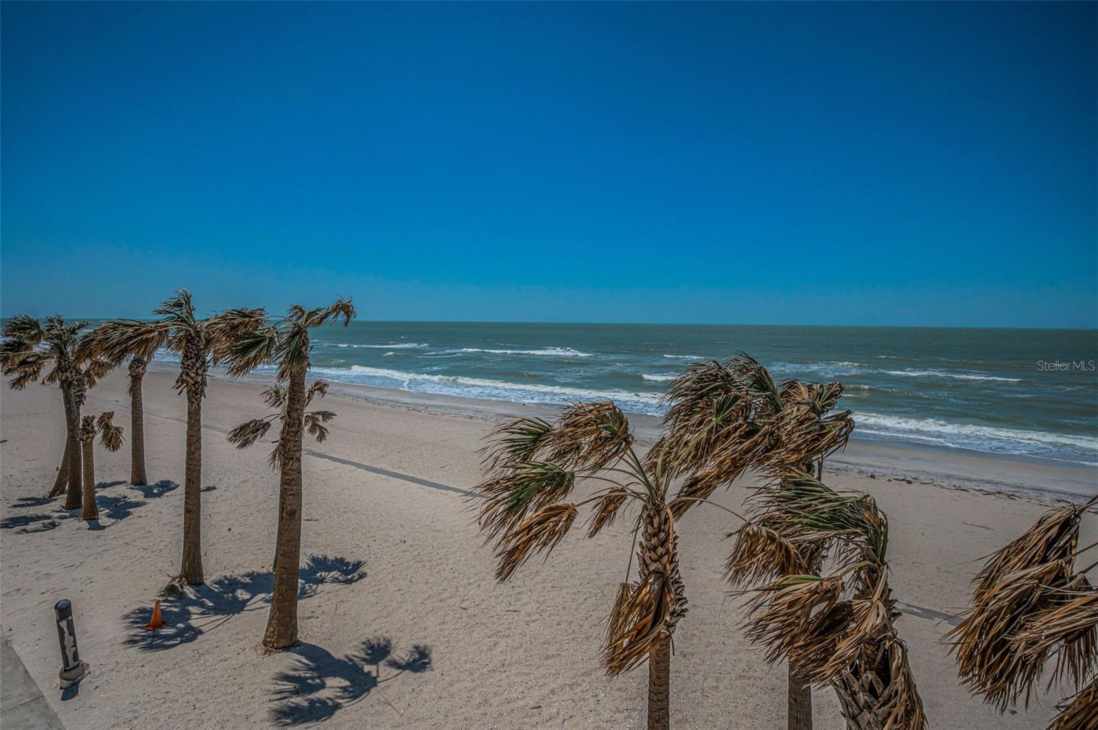 1660 GULF BLVD #203, CLEARWATER BEACH, FL, 33767