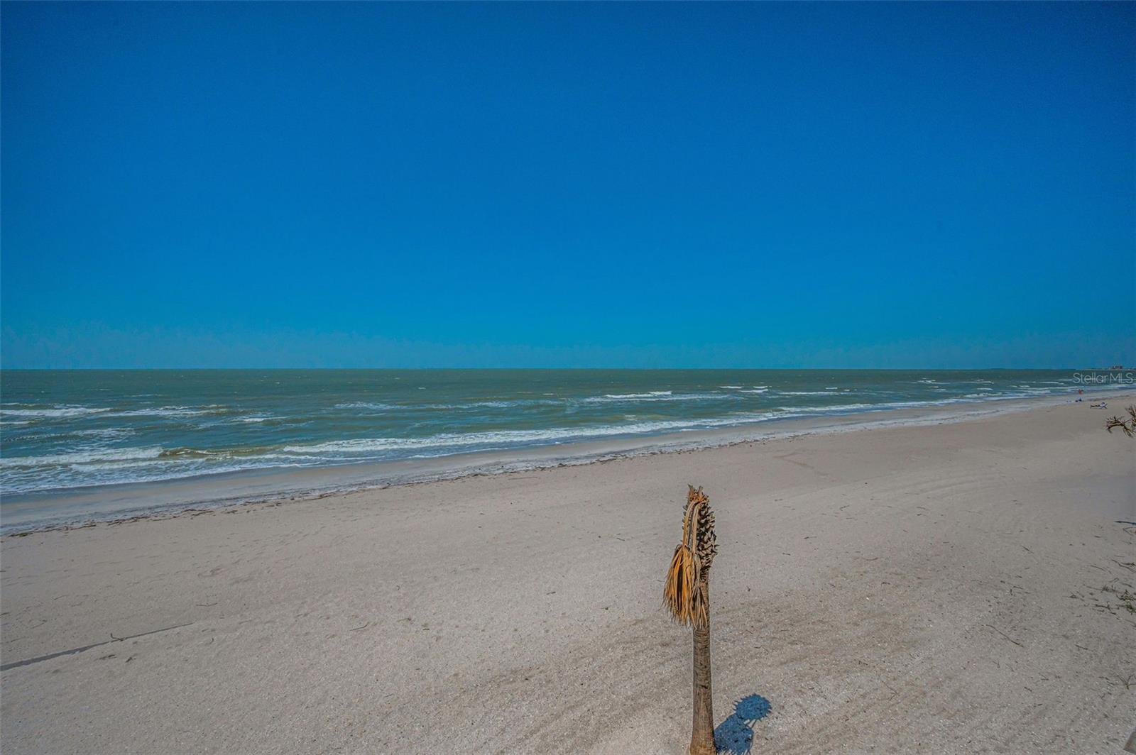 1660 GULF BLVD #203, CLEARWATER BEACH, FL, 33767