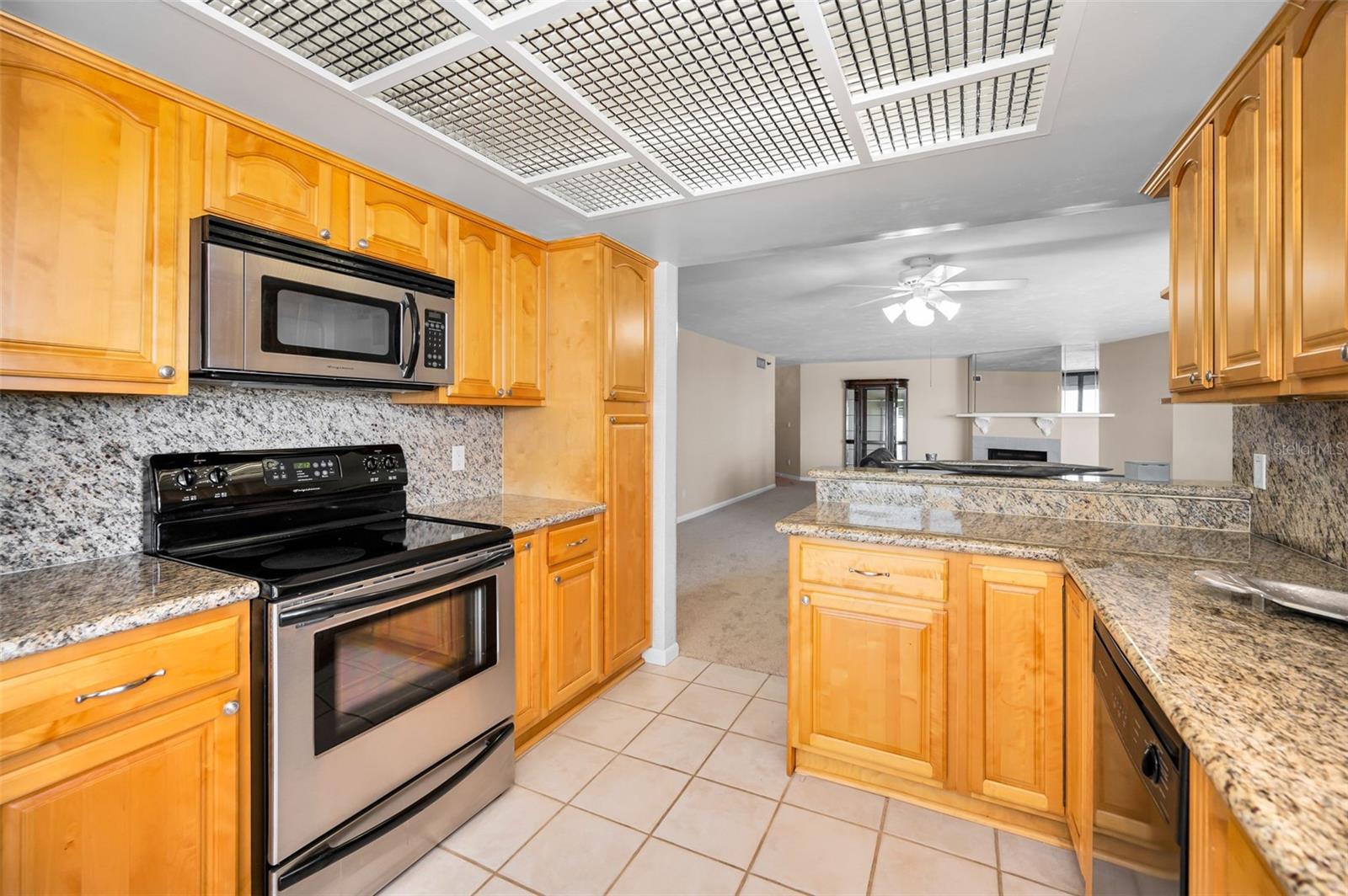 1660 GULF BLVD #203, CLEARWATER BEACH, FL, 33767