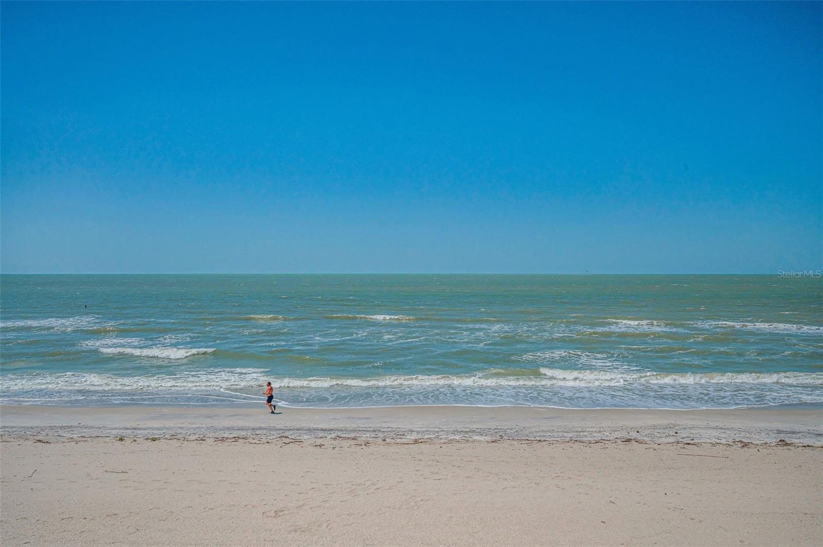 1660 GULF BLVD #203, CLEARWATER BEACH, FL, 33767