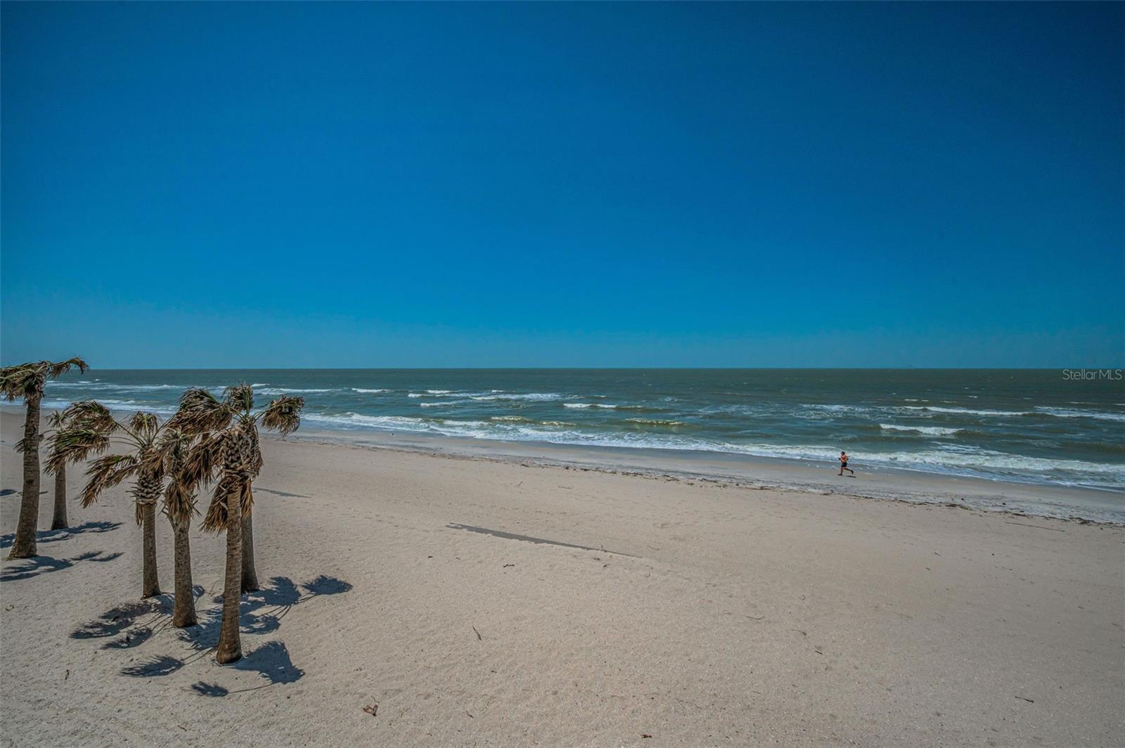 1660 GULF BLVD #203, CLEARWATER BEACH, FL, 33767