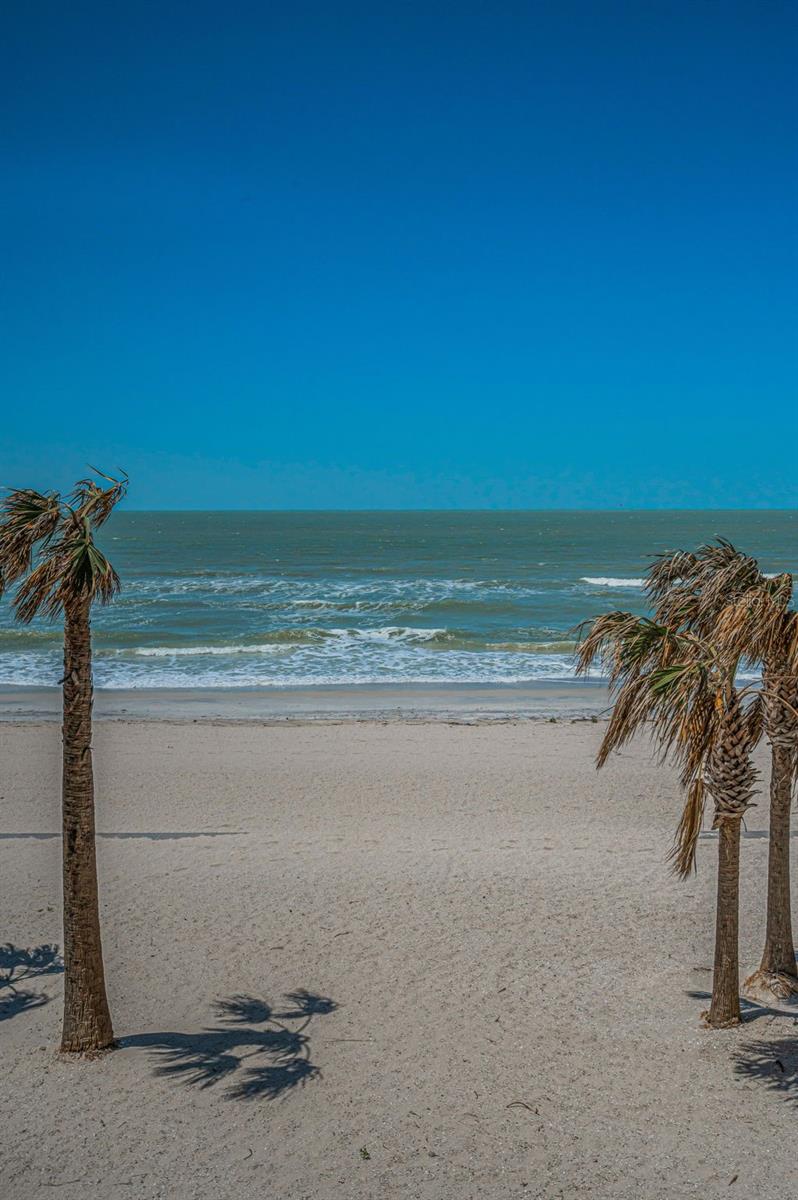 1660 GULF BLVD #203, CLEARWATER BEACH, FL, 33767