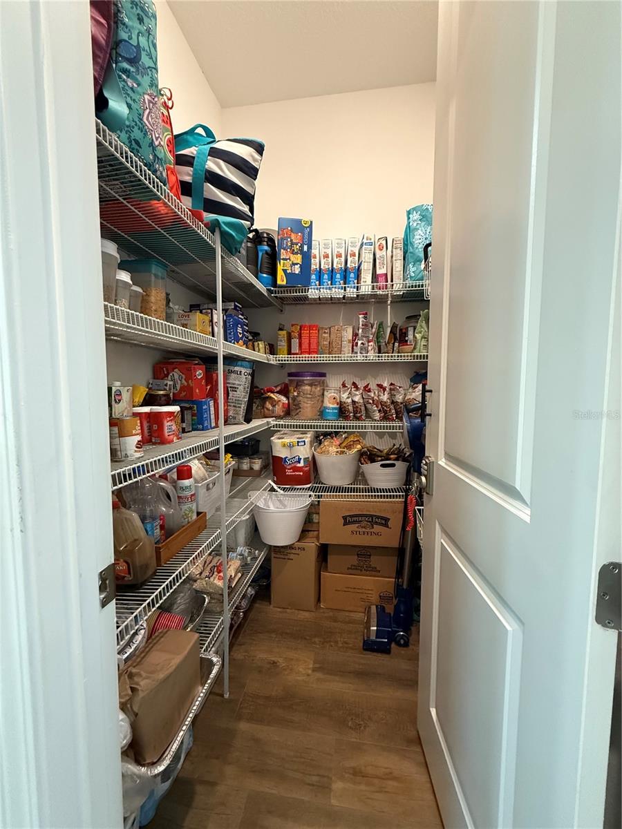 2751 HILLIARD DR, WESLEY CHAPEL, FL, 33543