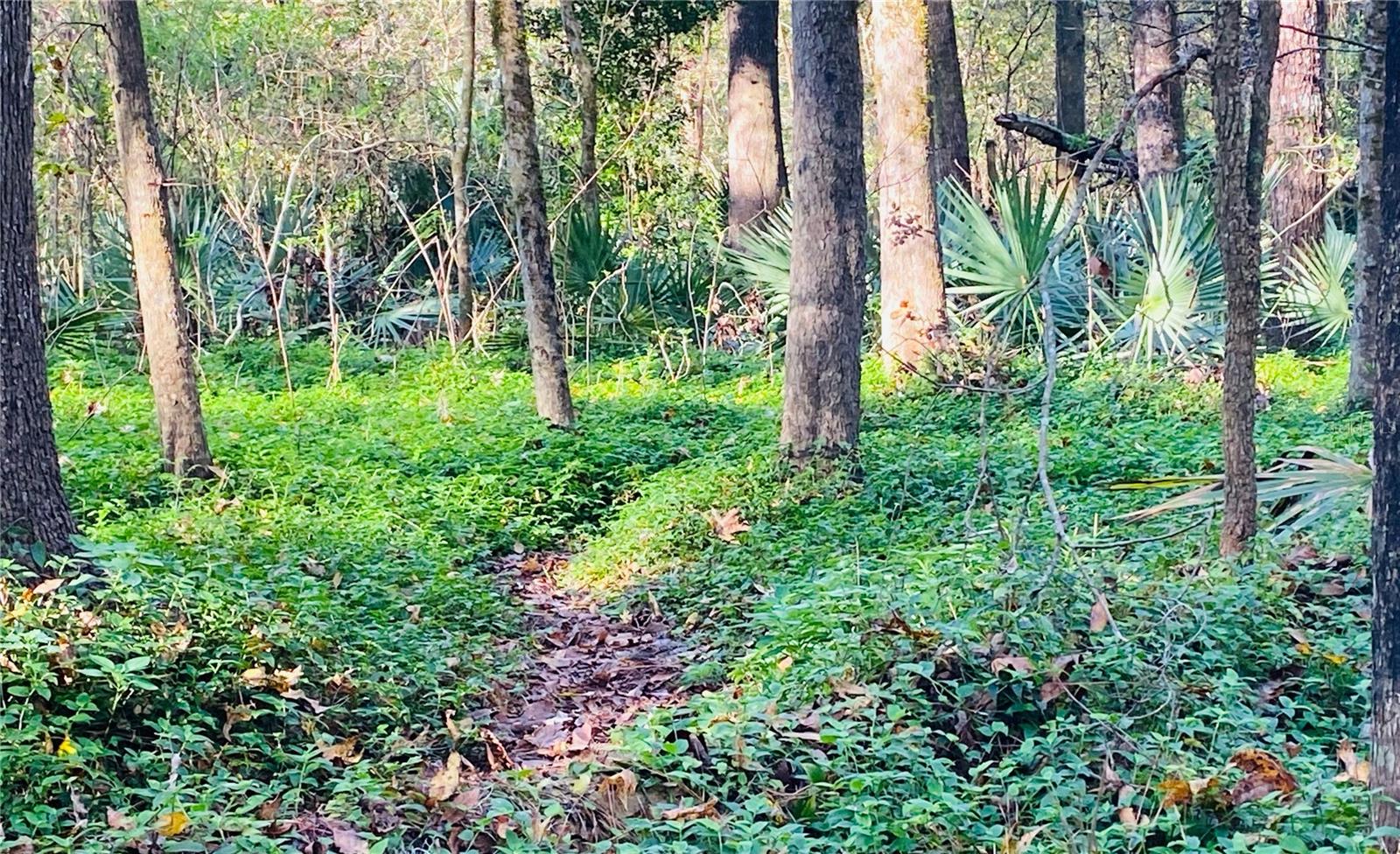 4013 SW 18TH ST, GAINESVILLE, FL, 32608