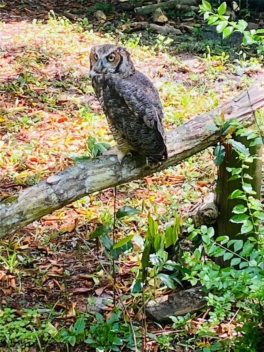 4013 SW 18TH ST, GAINESVILLE, FL, 32608