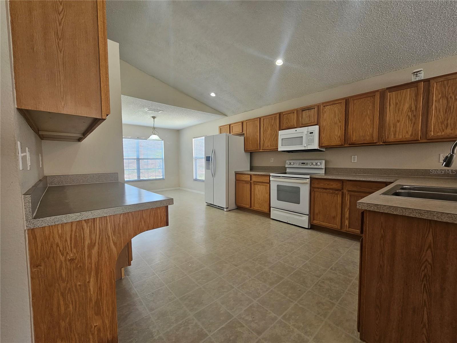 224 LAKE CHARLES DR, DAVENPORT, FL, 33837