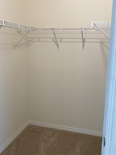 12079 HOLYSTONE ST, WINTER GARDEN, FL, 34787