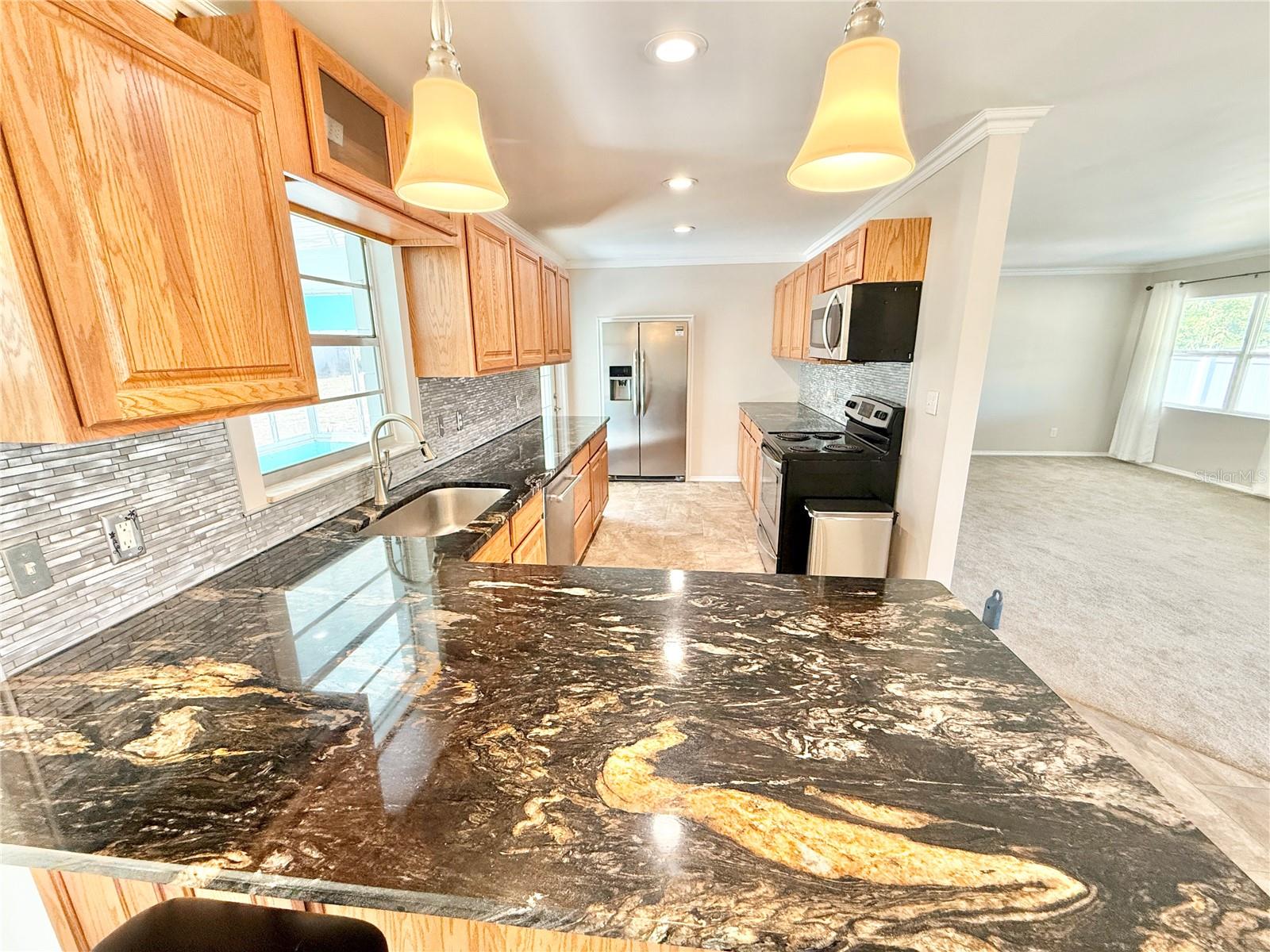 33415 PICCIOLA DR, FRUITLAND PARK, FL, 34731