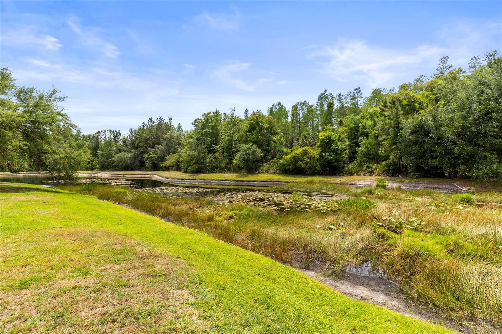 10142 DEERCLIFF DR, TAMPA, FL, 33647