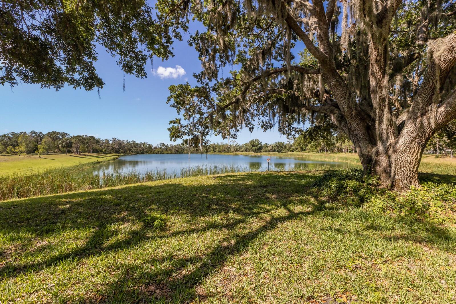 2309 CHARDONNAY TER, PARRISH, FL, 34219