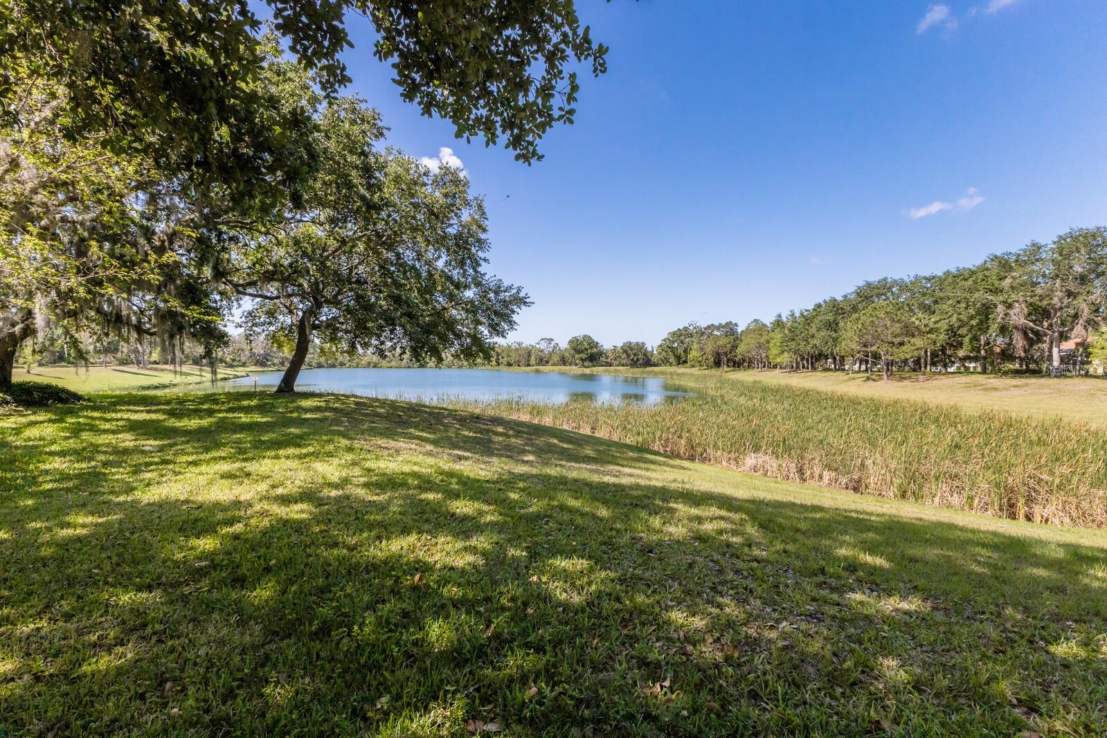 2309 CHARDONNAY TER, PARRISH, FL, 34219