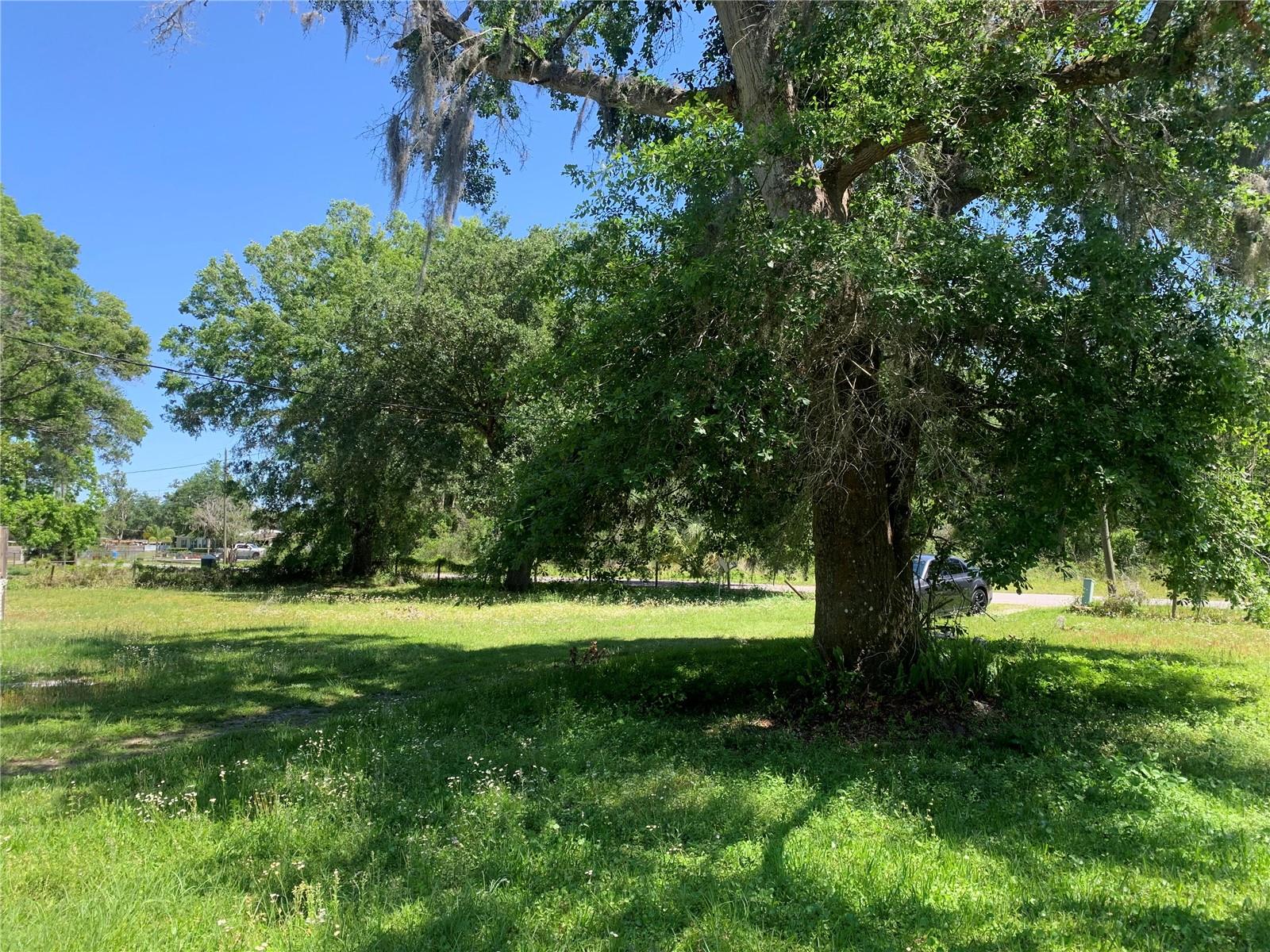 23105 JEROME RD, LAND O LAKES, FL, 34639