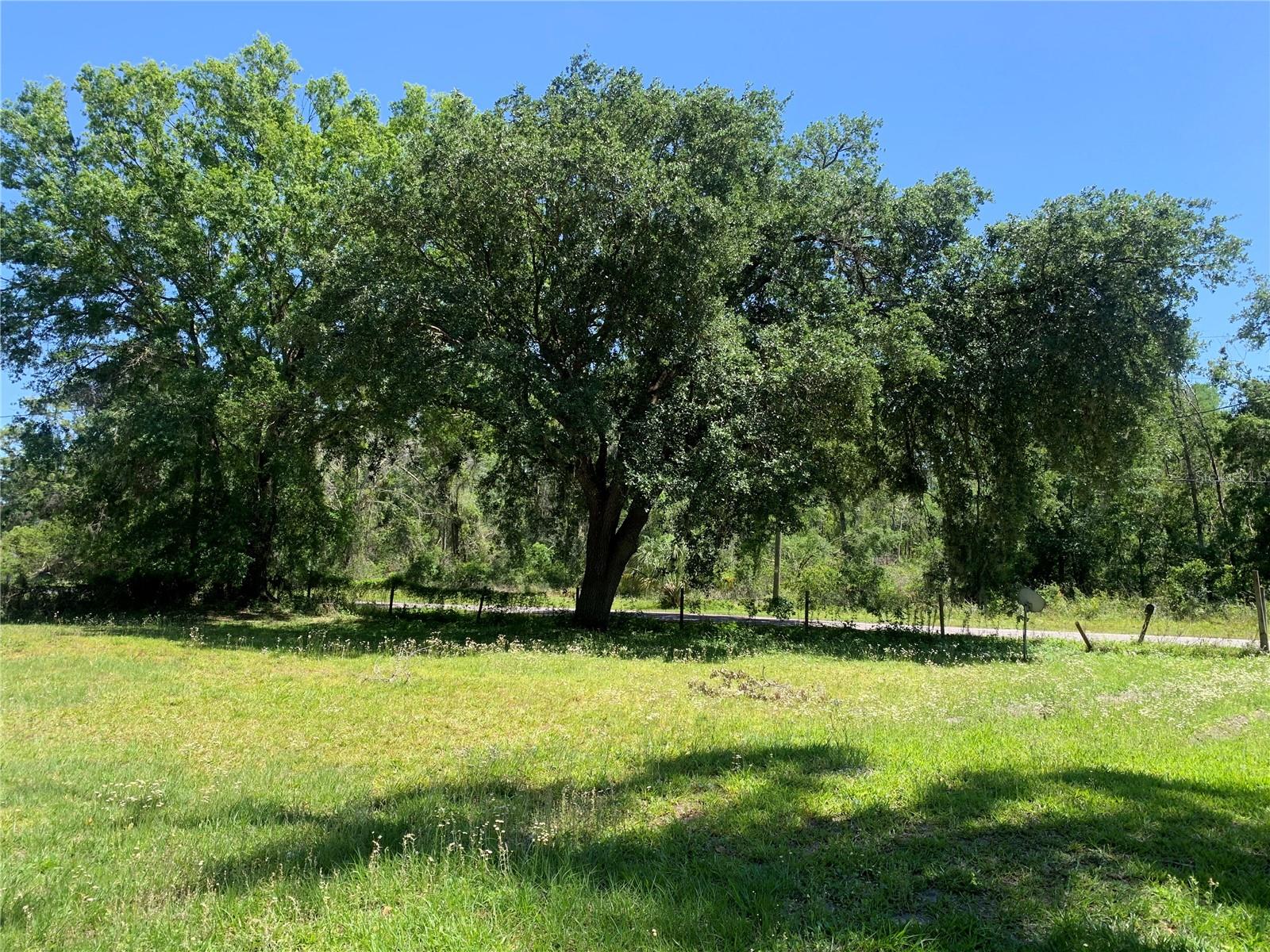 23105 JEROME RD, LAND O LAKES, FL, 34639