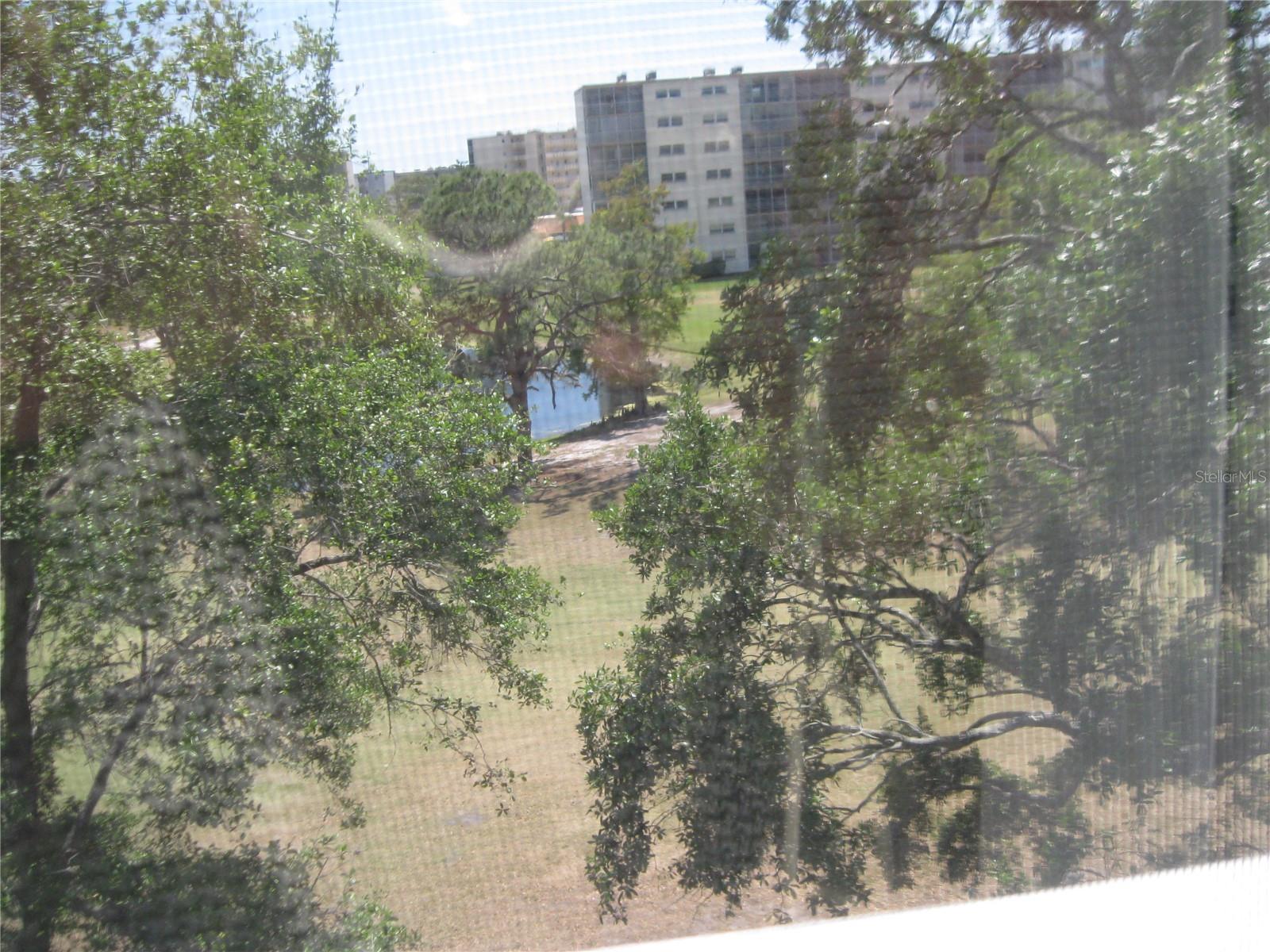 3620 IRONWOOD CIR #506-O, BRADENTON, FL, 34209