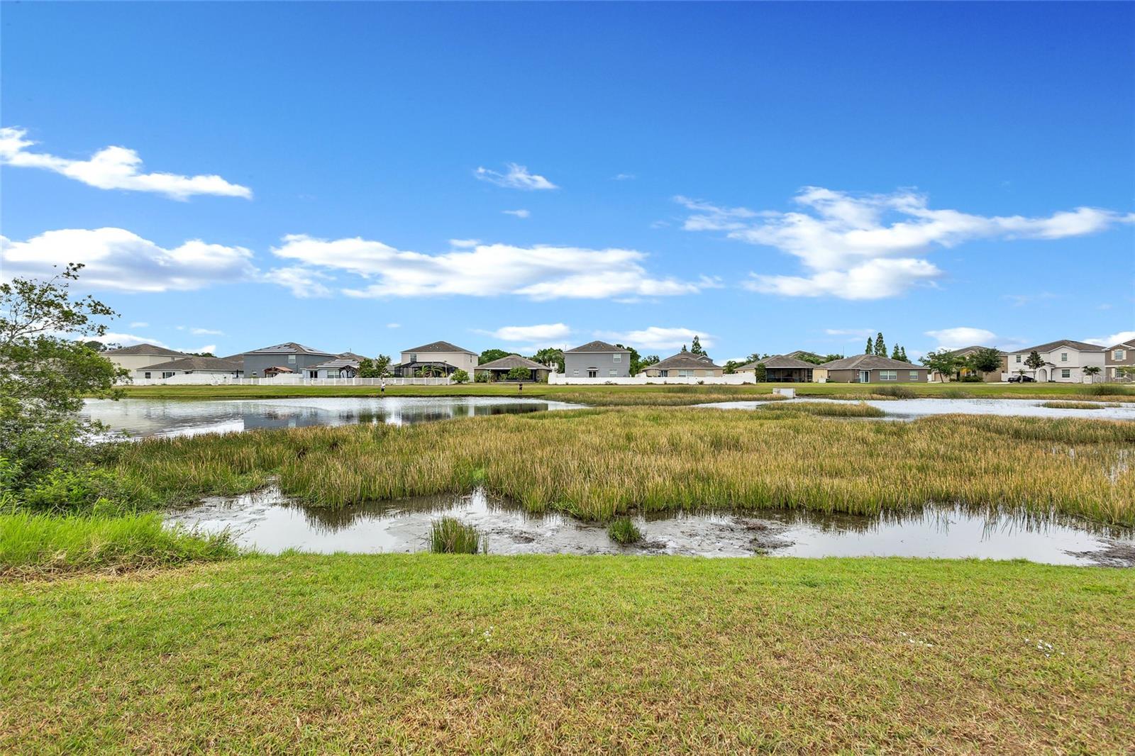 10936 RAINBOW PYRITE DR, WIMAUMA, FL, 33598