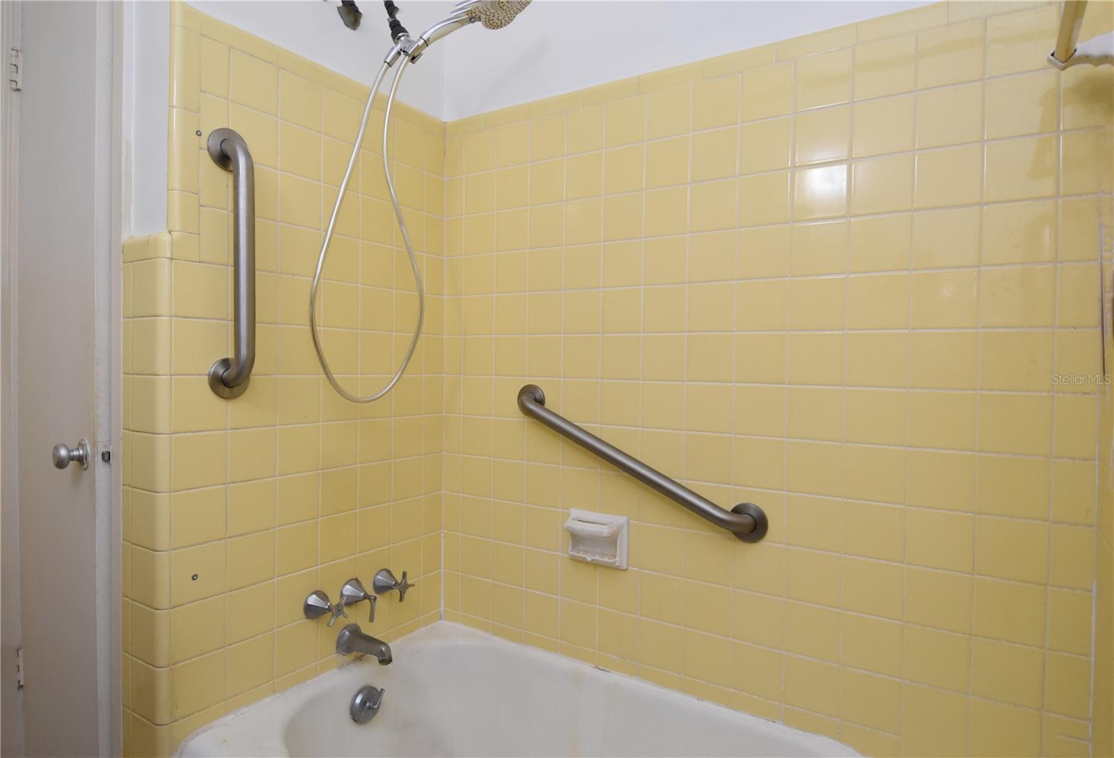 1125 N MC DONALD ST, MOUNT DORA, FL, 32757