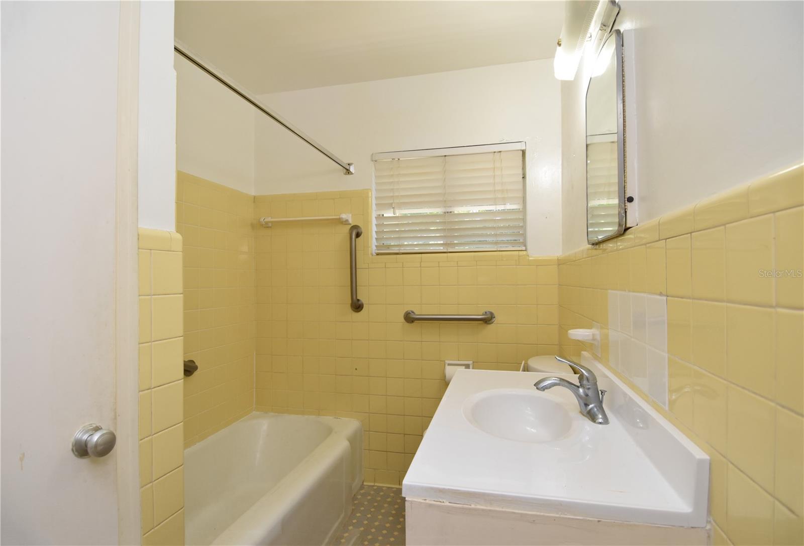 1125 N MC DONALD ST, MOUNT DORA, FL, 32757