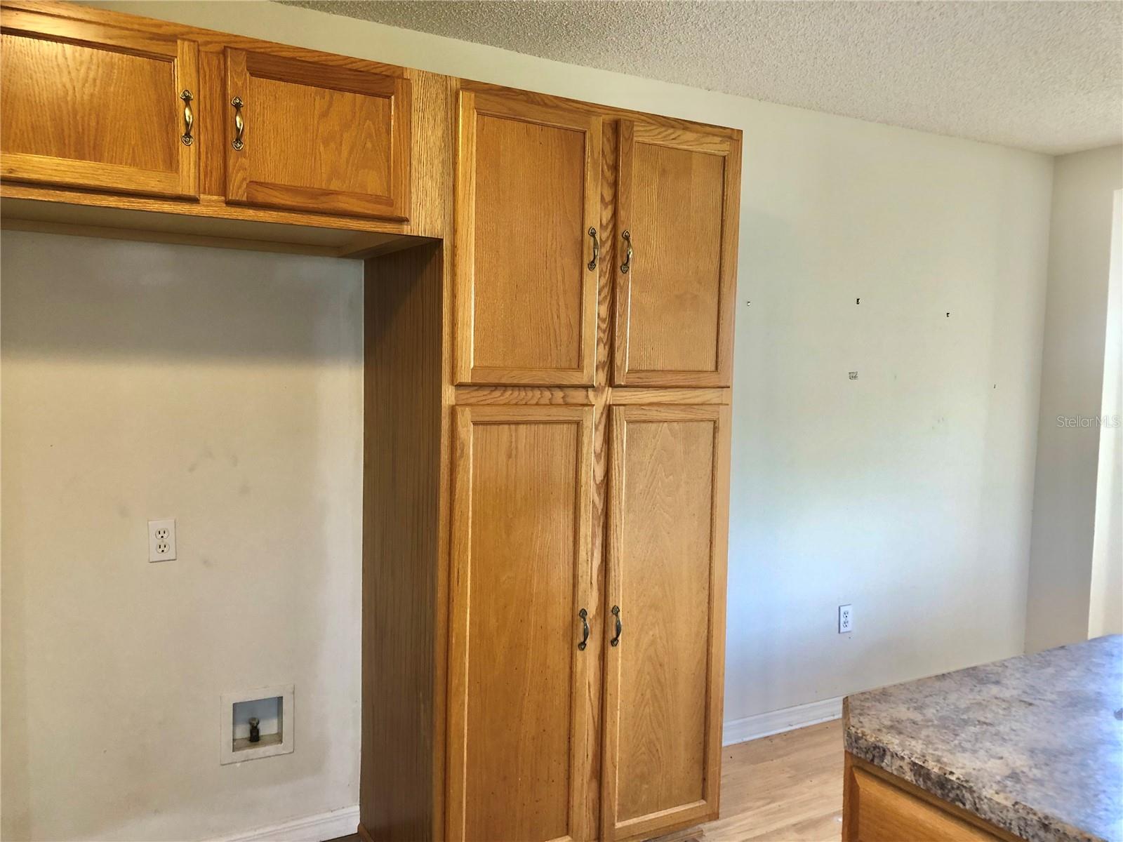 1805 SAN LUIS LN, THE VILLAGES, FL, 32159