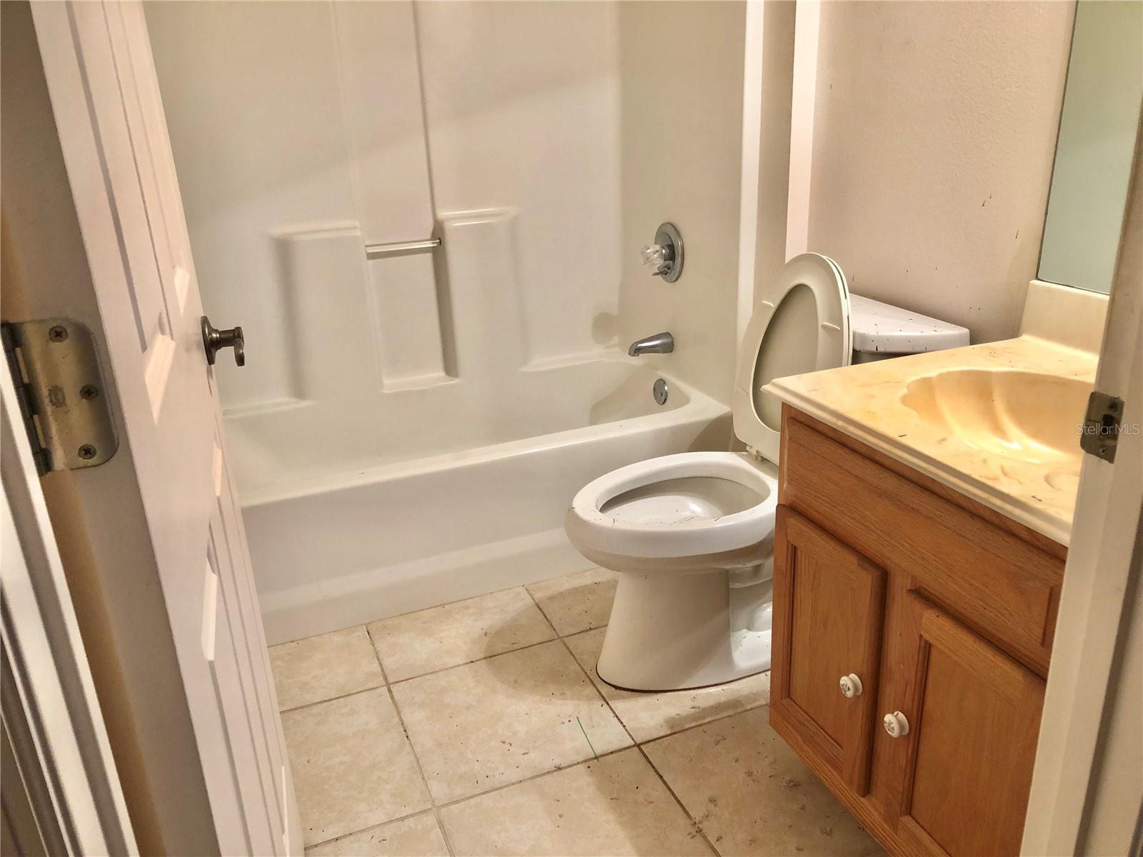 1805 SAN LUIS LN, THE VILLAGES, FL, 32159