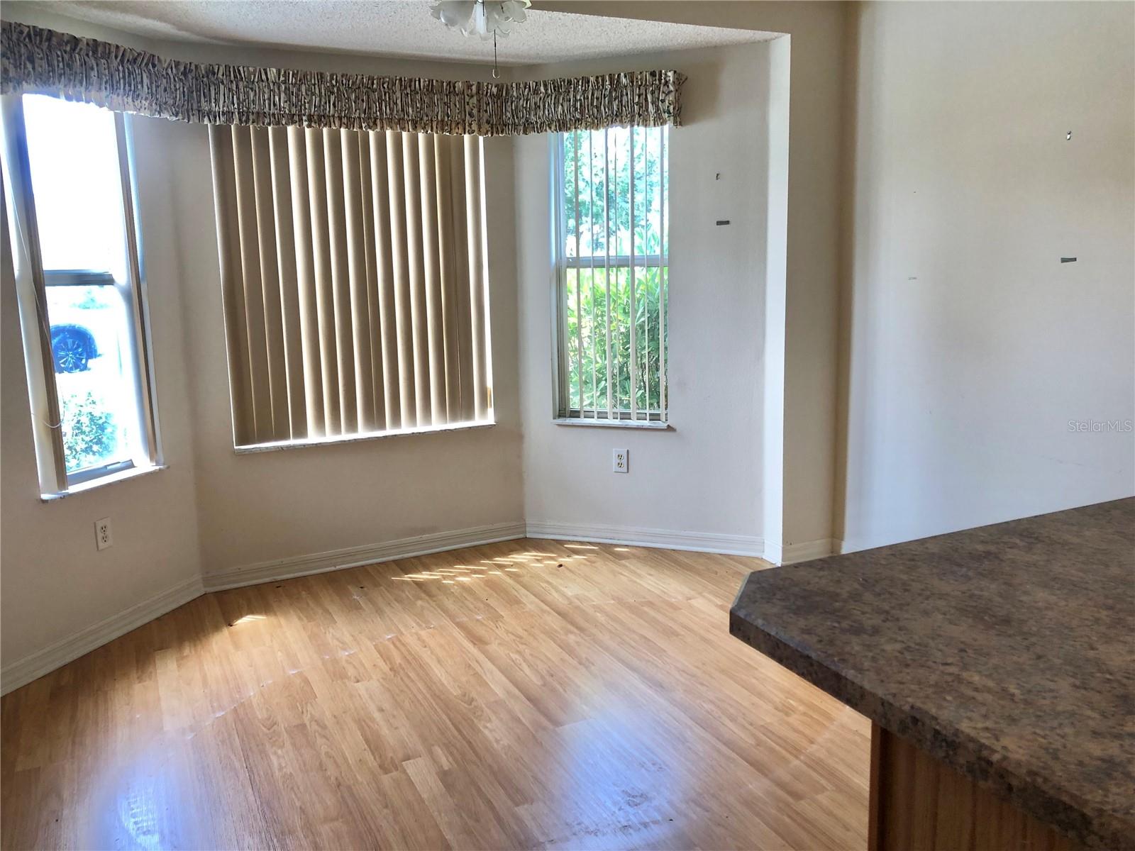 1805 SAN LUIS LN, THE VILLAGES, FL, 32159