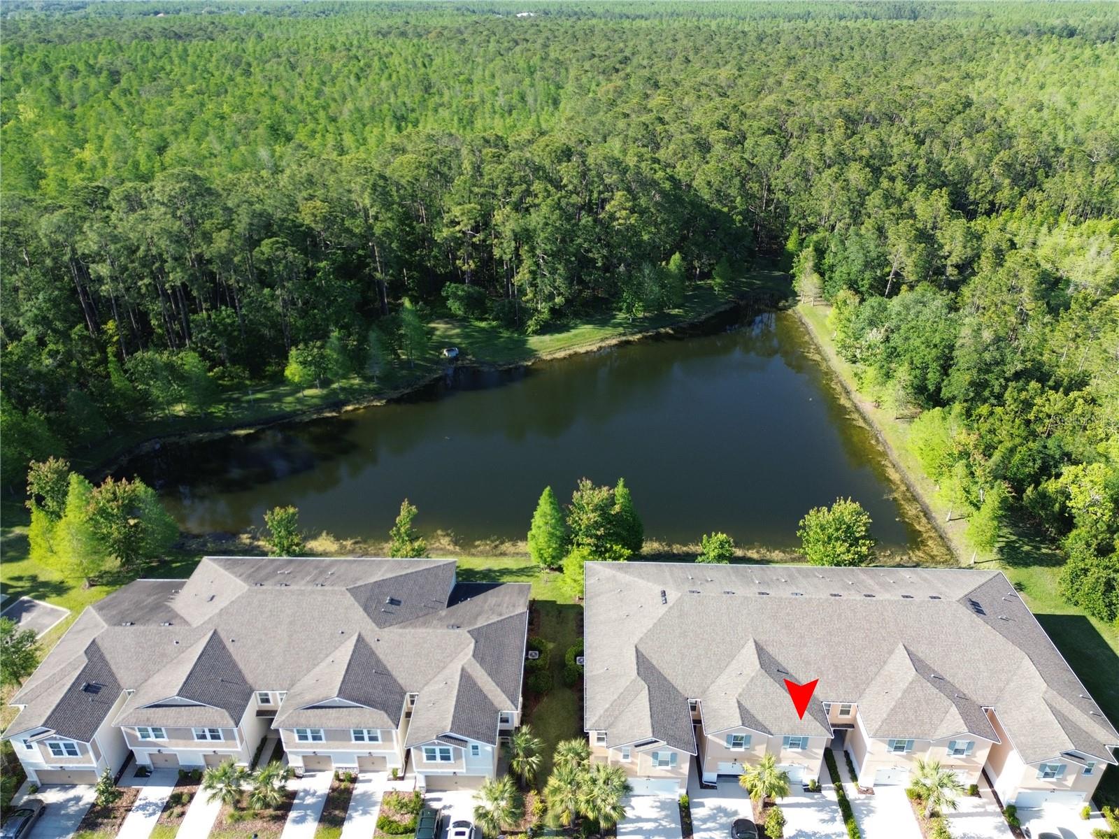 5509 CUMBERLAND STAR CT, LUTZ, FL, 33558