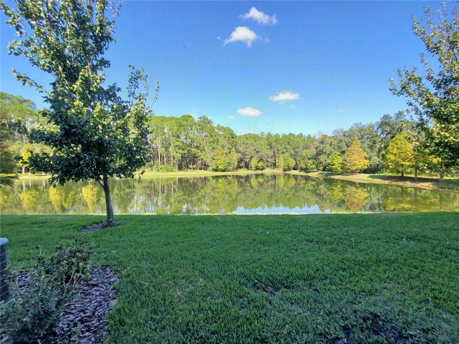 5509 CUMBERLAND STAR CT, LUTZ, FL, 33558