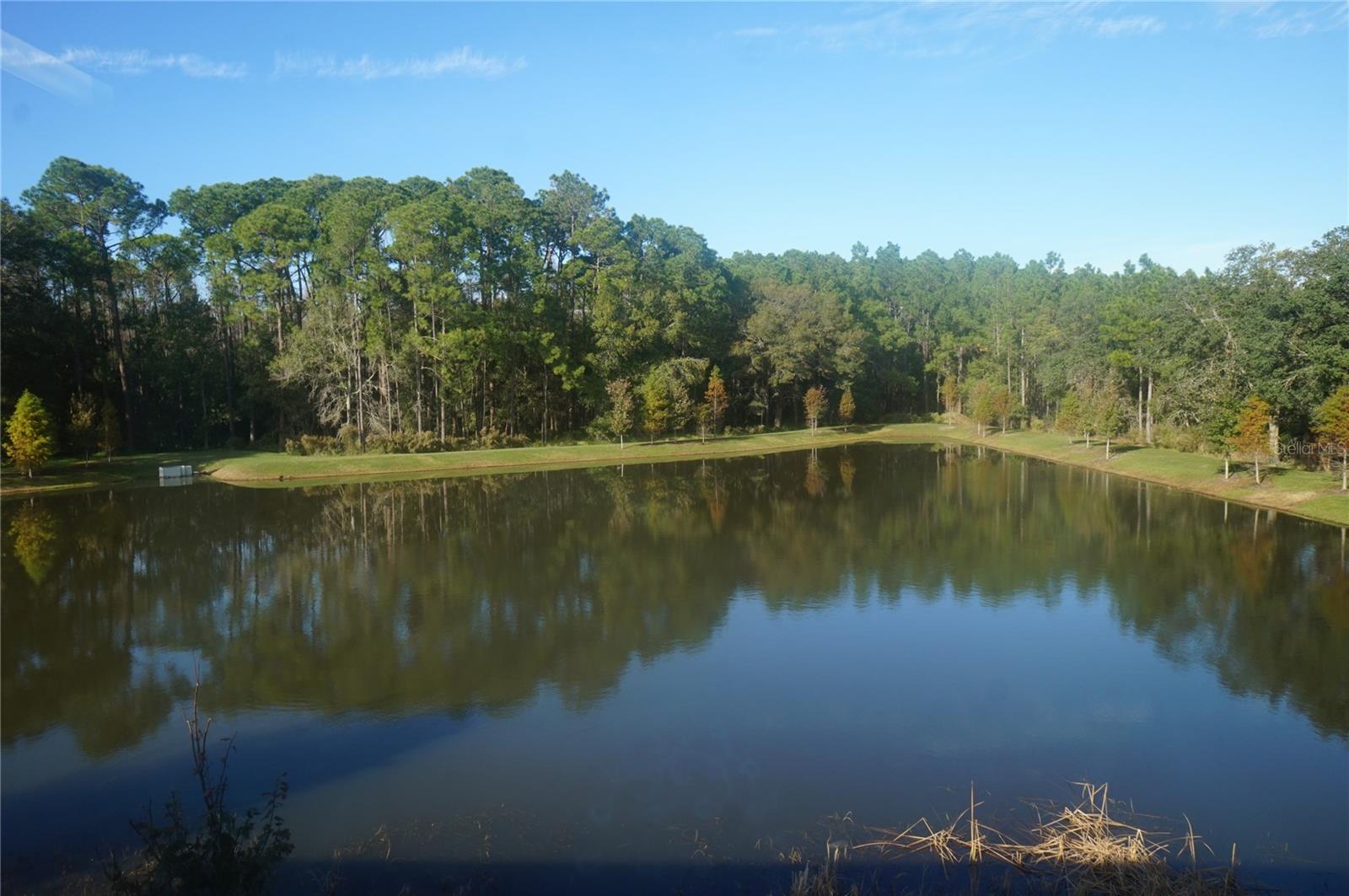 5509 CUMBERLAND STAR CT, LUTZ, FL, 33558