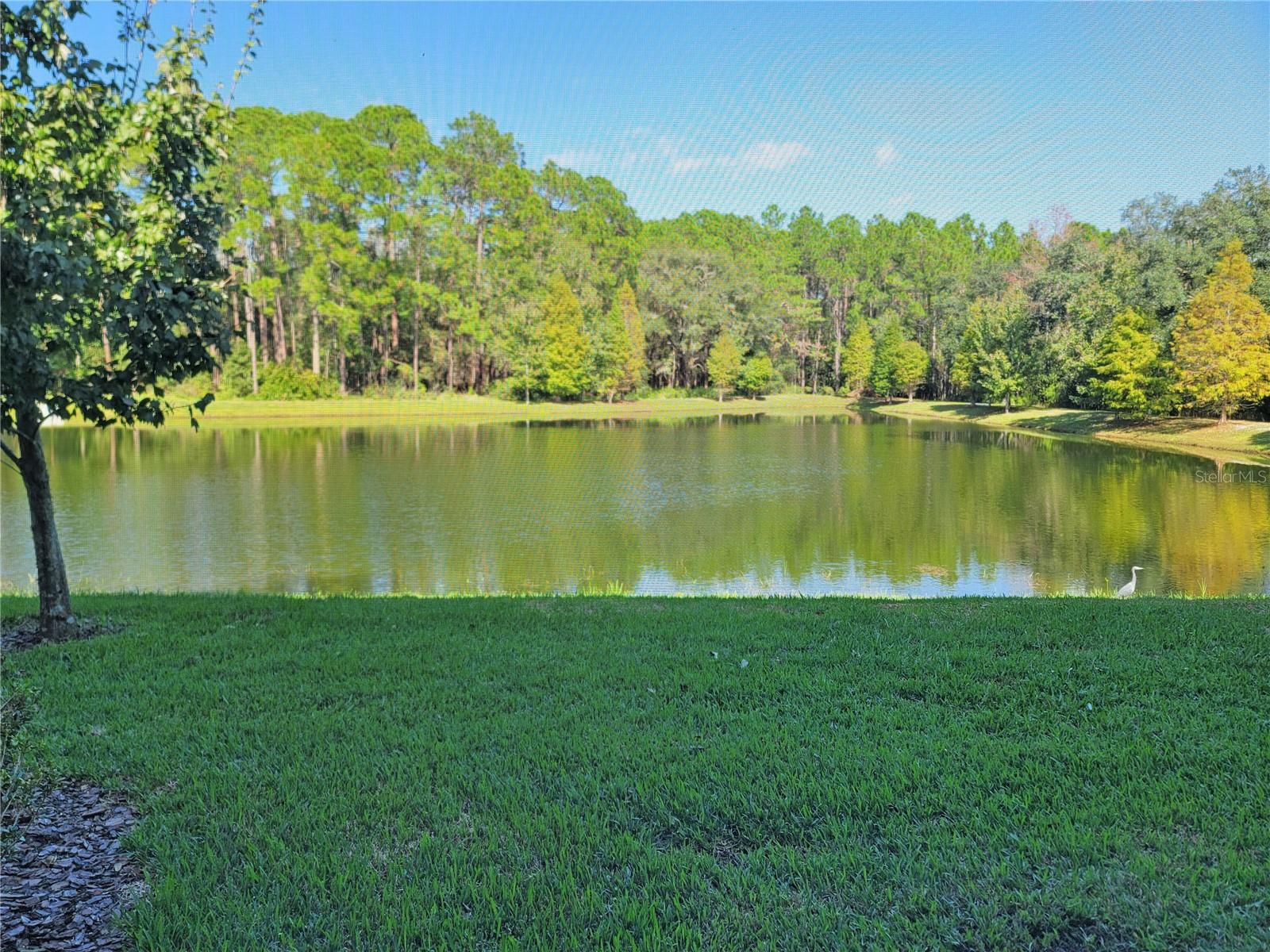 5509 CUMBERLAND STAR CT, LUTZ, FL, 33558