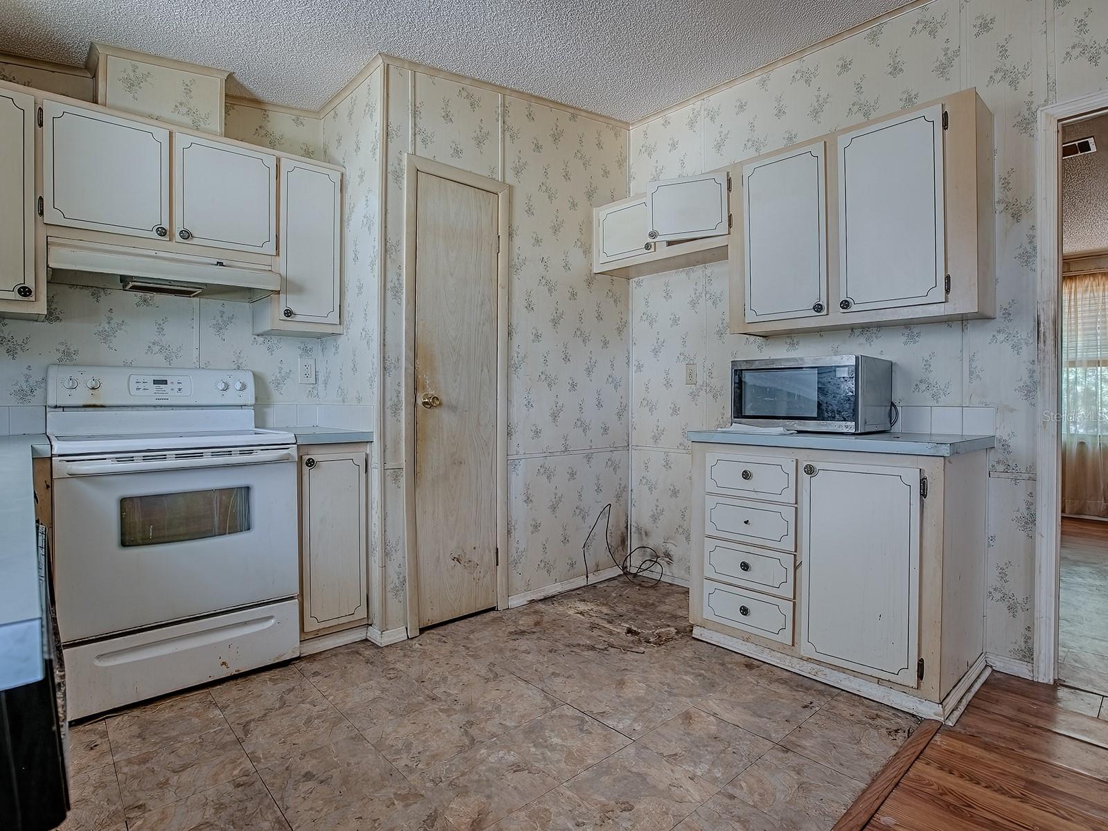 819 HIBISCUS DR, THE VILLAGES, FL, 32159