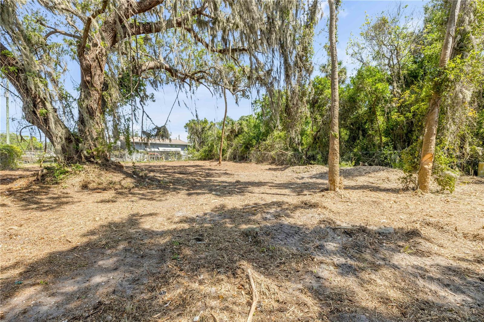 431 LIVE OAK ST, EDGEWATER, FL, 32132