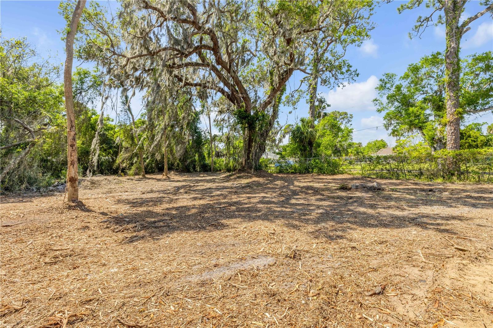 431 LIVE OAK ST, EDGEWATER, FL, 32132