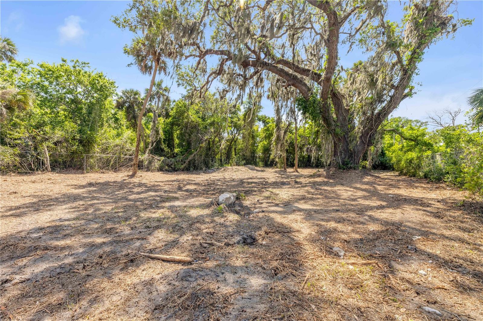 431 LIVE OAK ST, EDGEWATER, FL, 32132