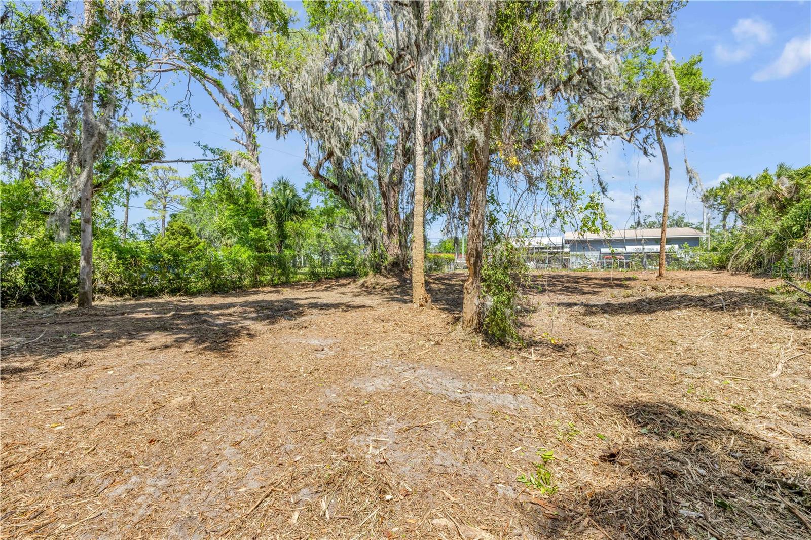 431 LIVE OAK ST, EDGEWATER, FL, 32132