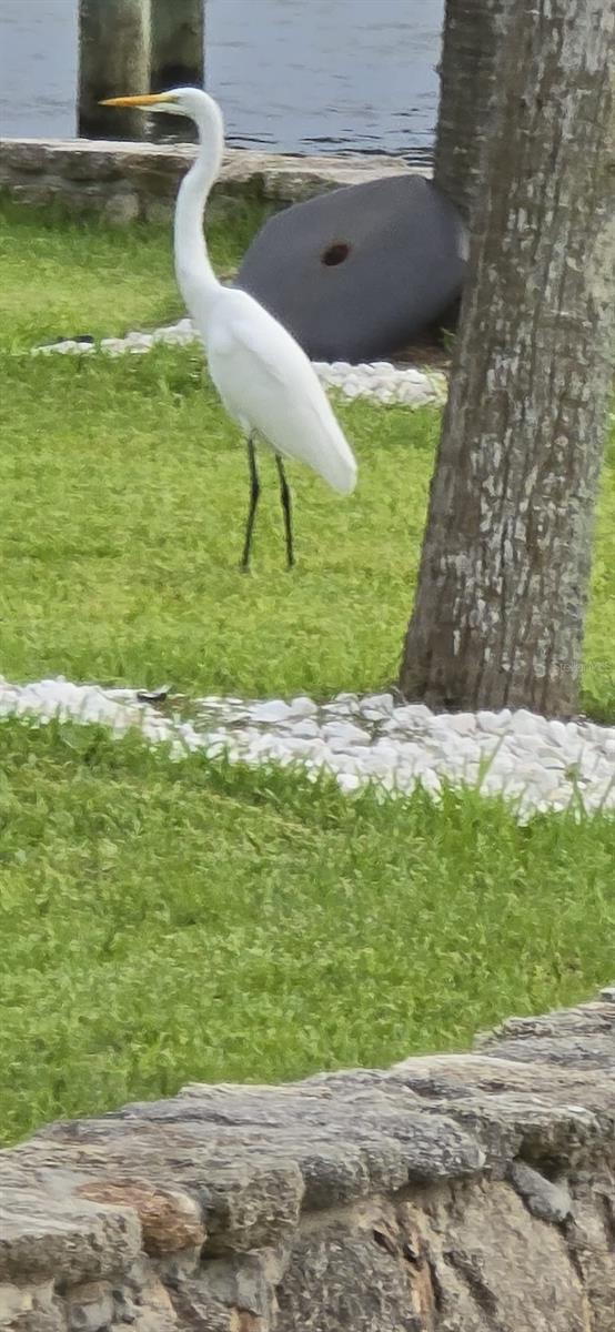 2810 S PENINSULA DR, DAYTONA BEACH, FL, 32118