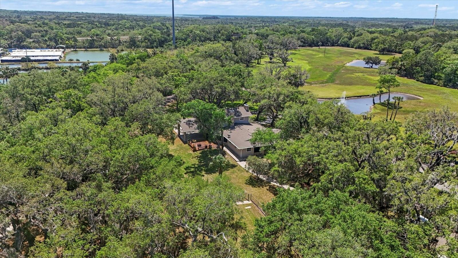 800 HIDDEN OAKS LN, OAK HILL, FL, 32759