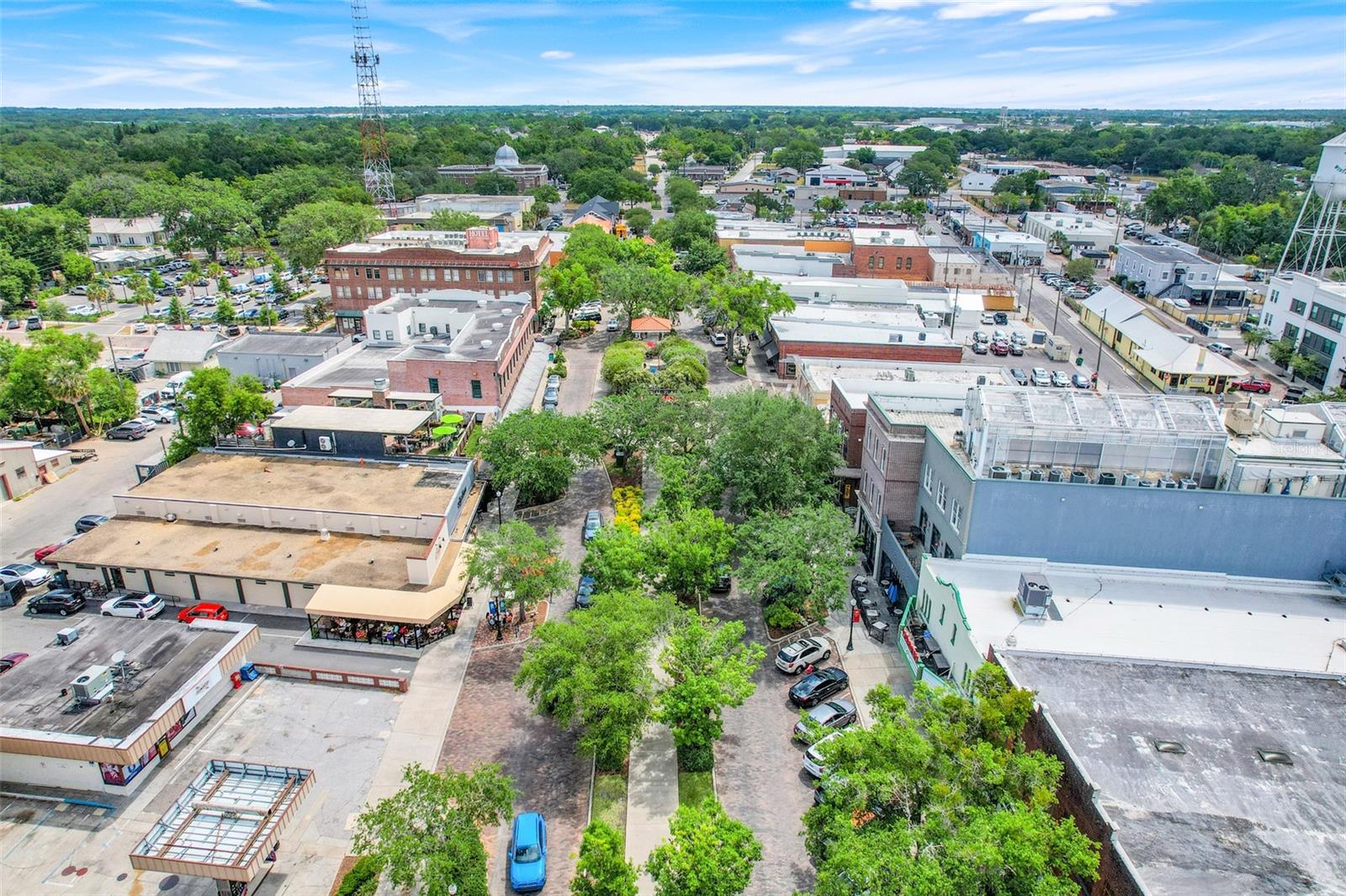 644 ORANGE BELT LOOP, WINTER GARDEN, FL, 34787